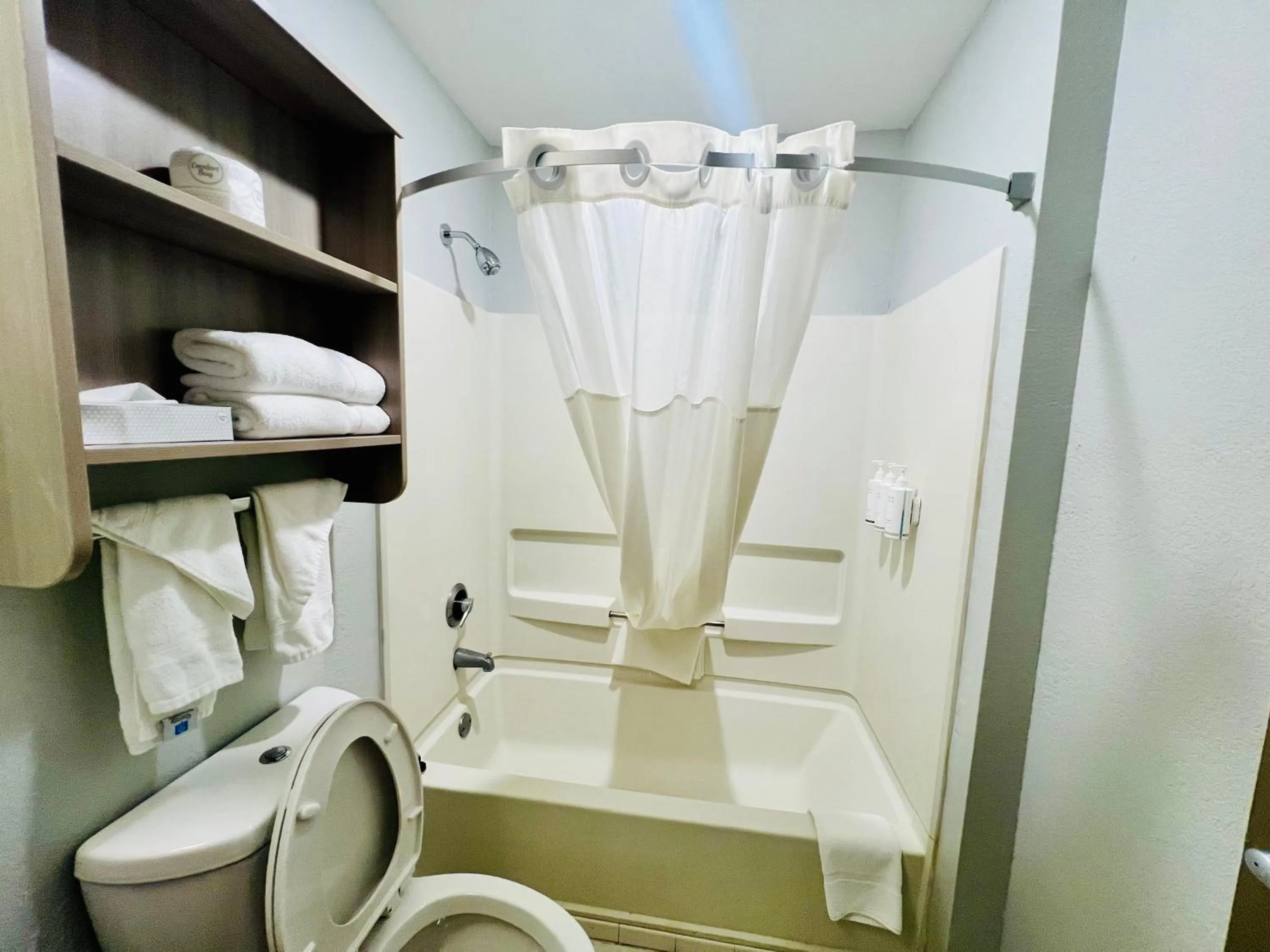 Toilet in Microtel Inn Georgetown - Lexington North