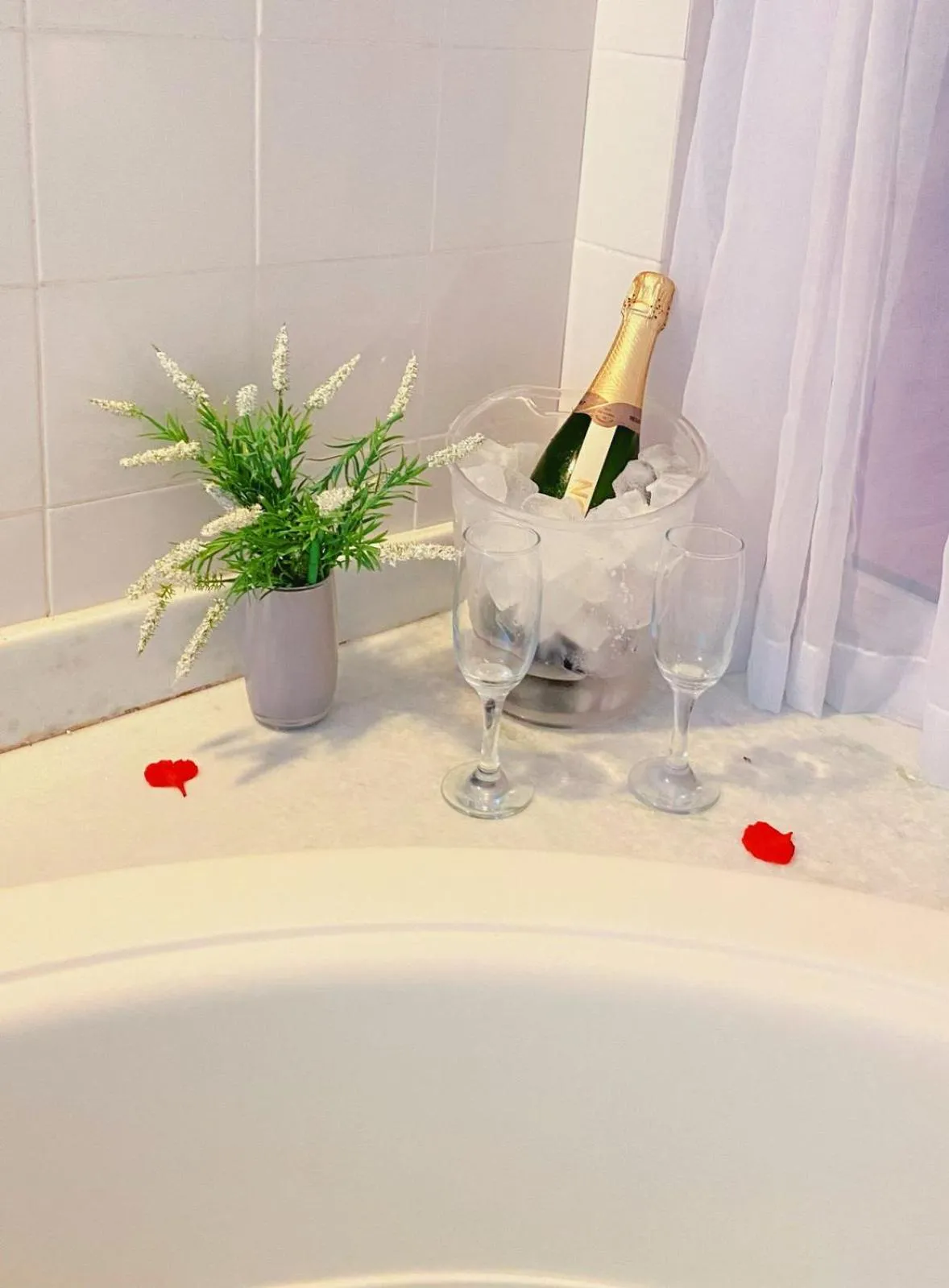 Ferradura Parque Pousada