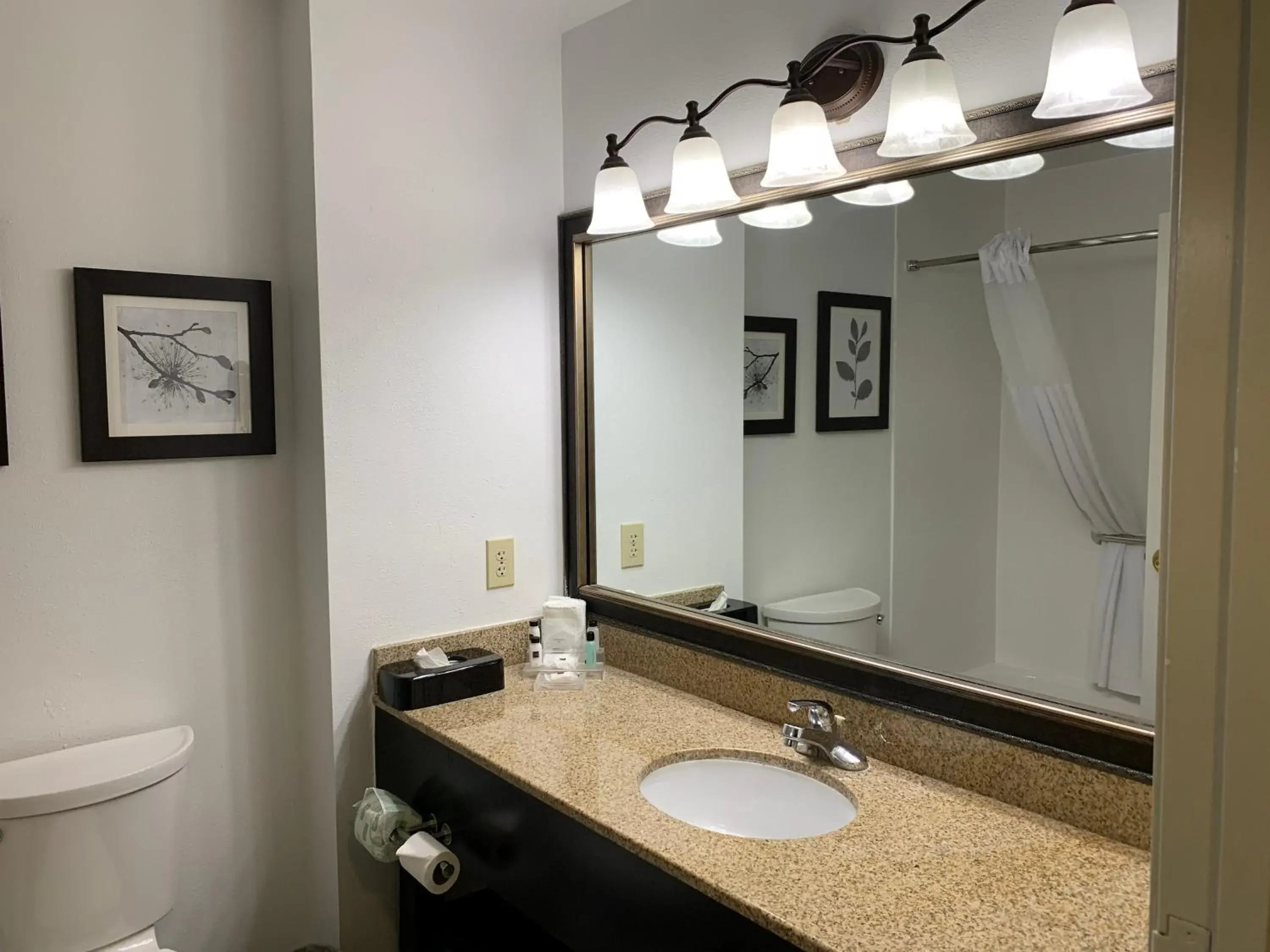 King Studio Suite - Non-Smoking in Country Inn & Suites by Radisson, Georgetown, KY King Studio Suite - Non-Smoking in Country Inn & Suites by Radisson, Georgetown, KY