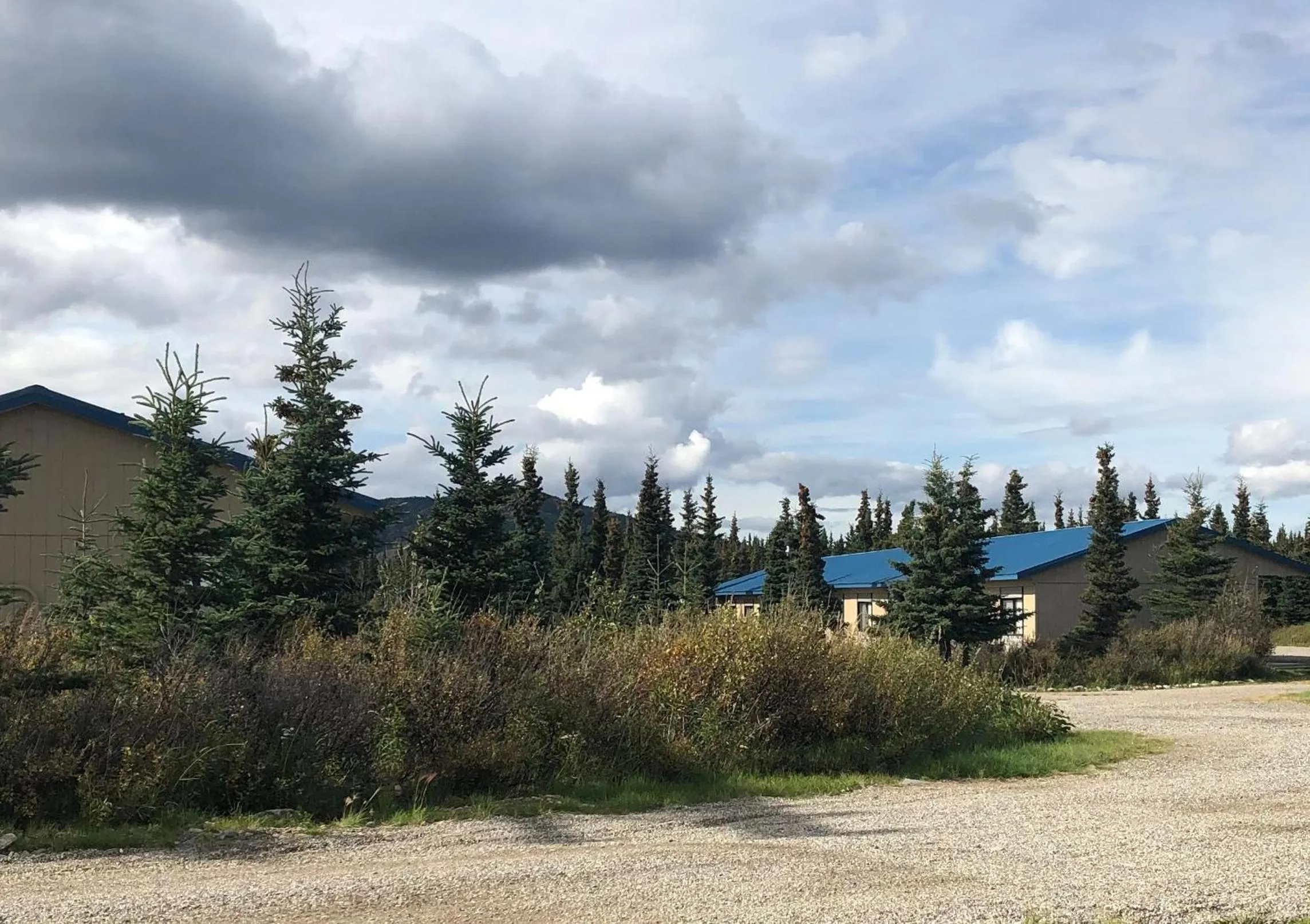 Natural landscape in Denali Park Hotel