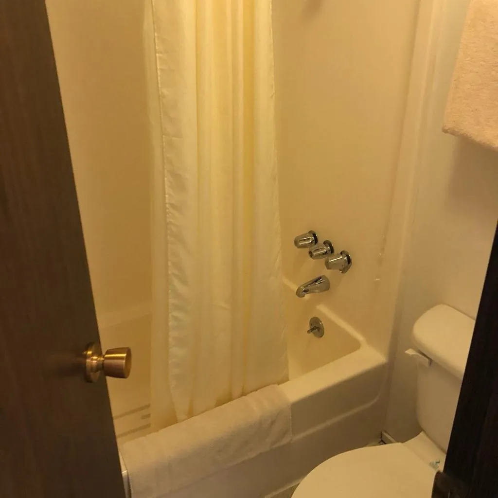 Shower in Denali Park Hotel