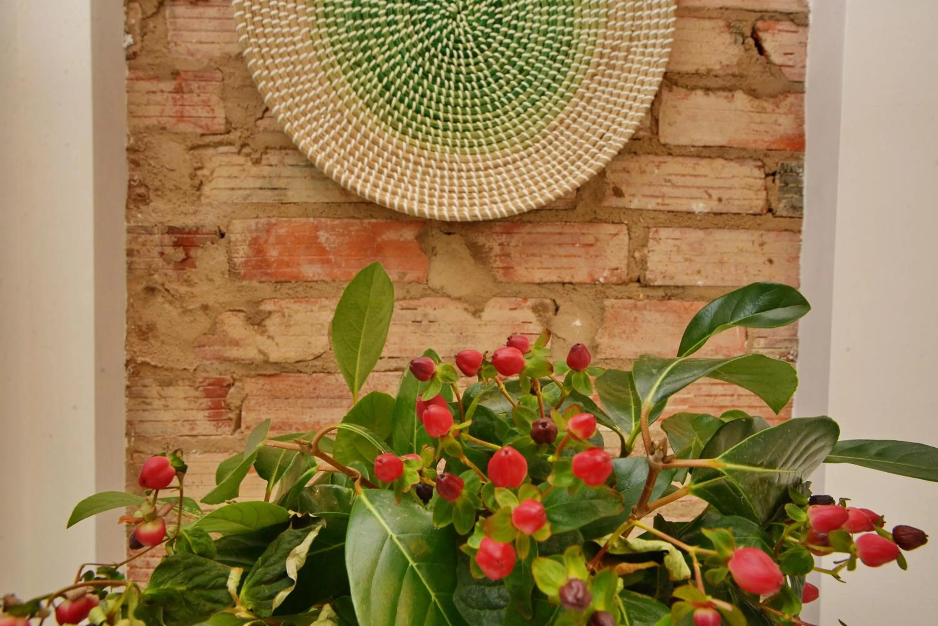 Son of a Beach Hostel