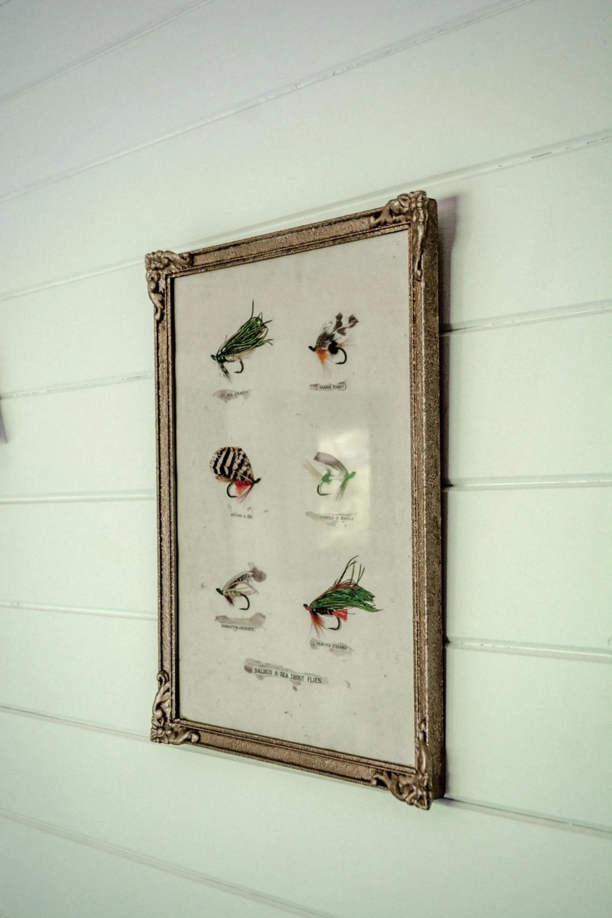 Crackenback Farm Guesthouse