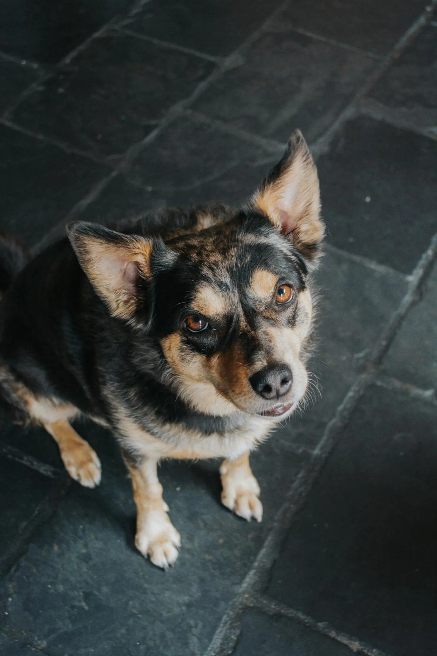 Crackenback Farm Guesthouse