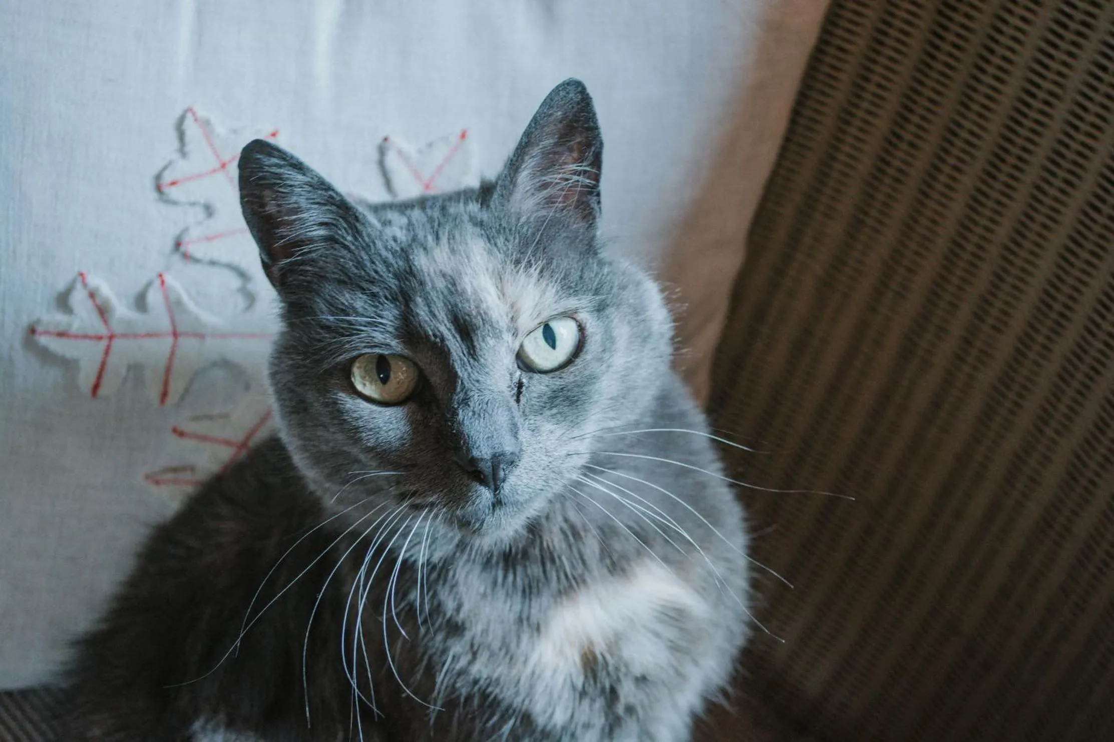 Crackenback Farm Guesthouse