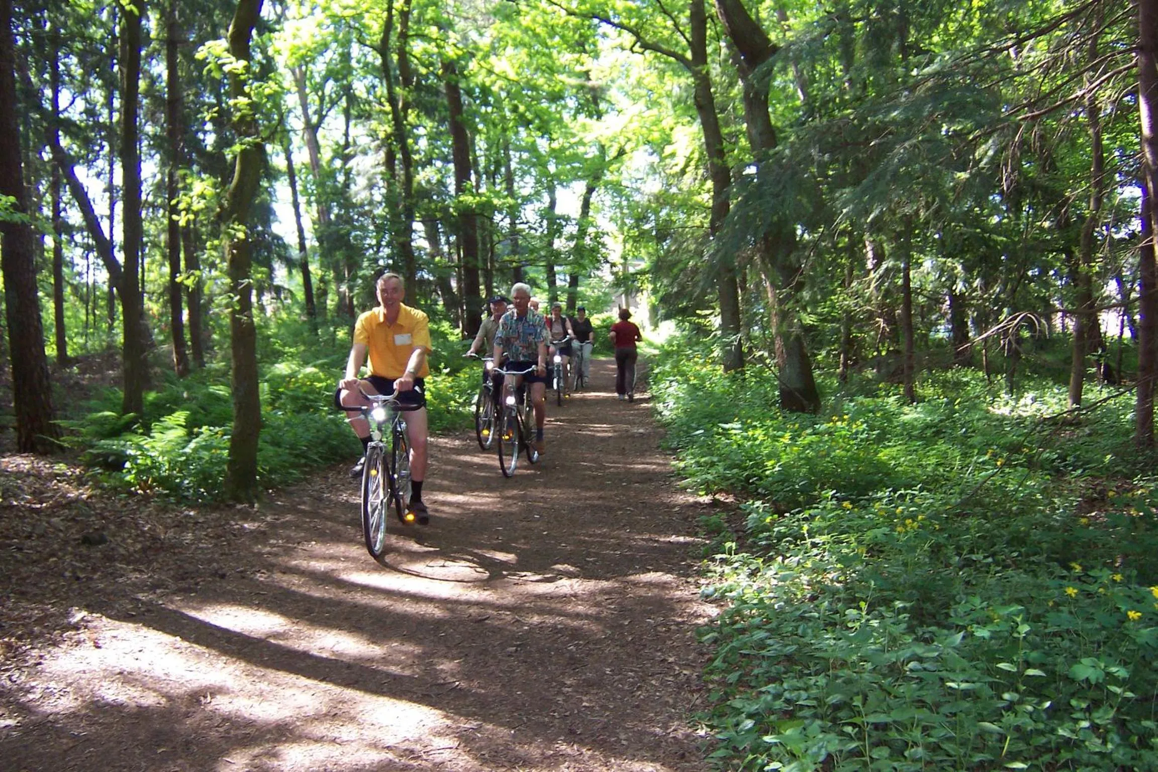 Cycling in Gaestehaus Kiekmolrin