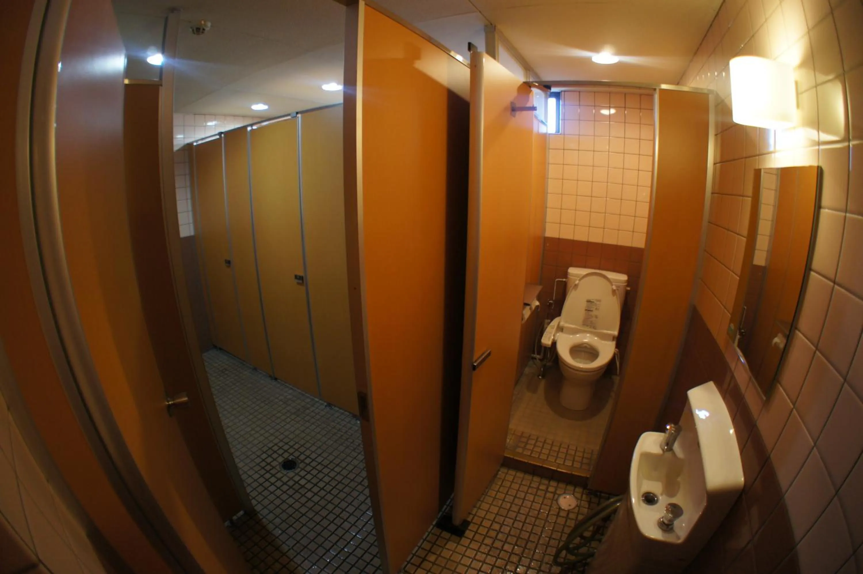 Toilet in Economy Hotel Hoteiya