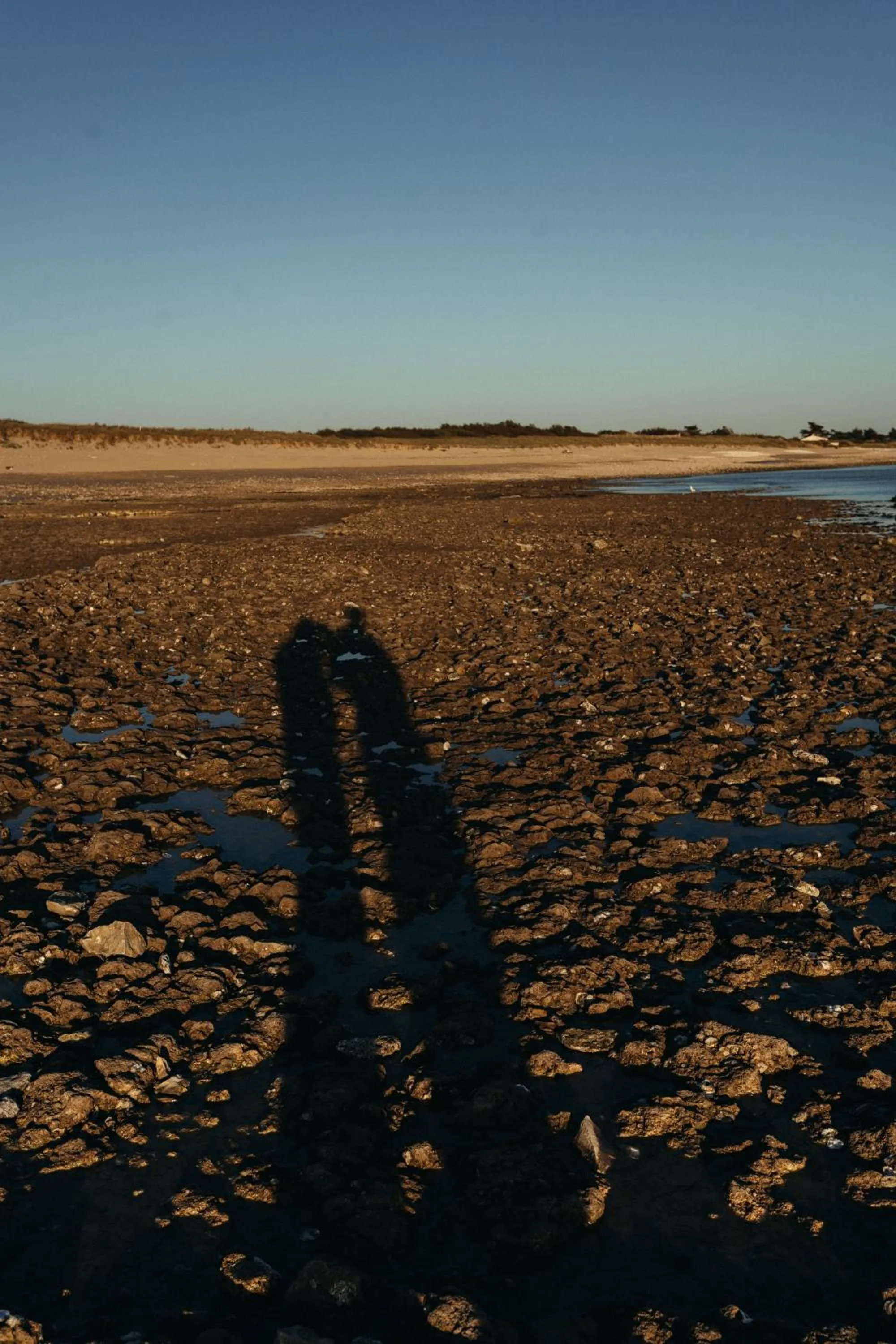 Beach in Hôtel OYAT Ile de Ré - ex Escale