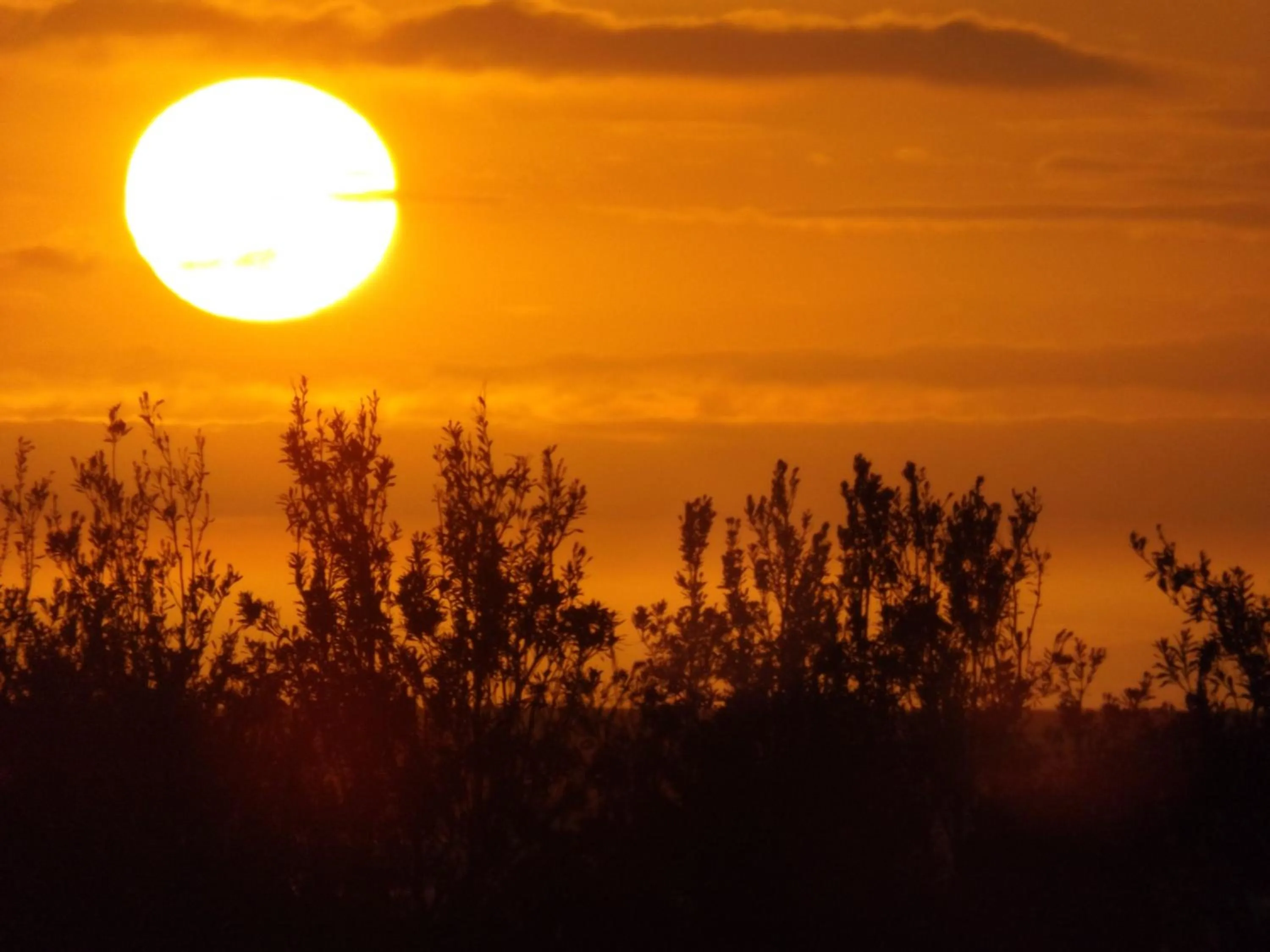 Other in Surfside Merimbula Holiday Apartments