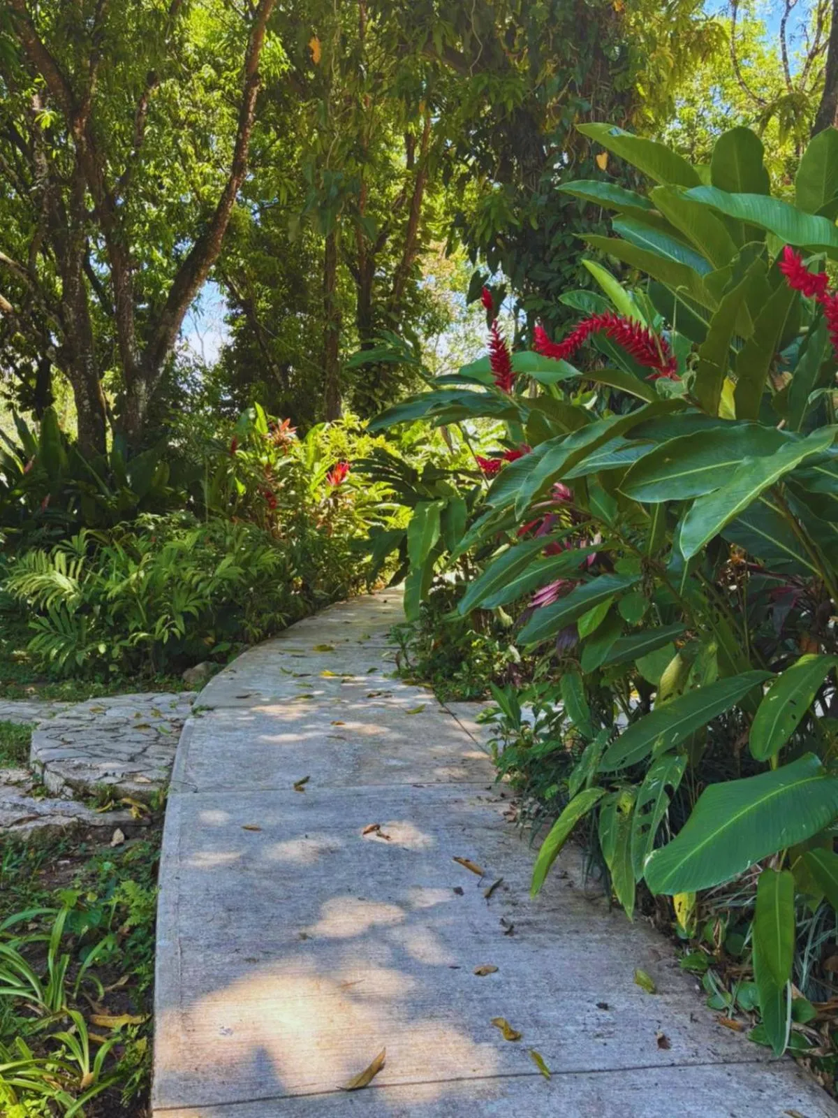 Garden in Hotel La Aldea del Halach Huinic