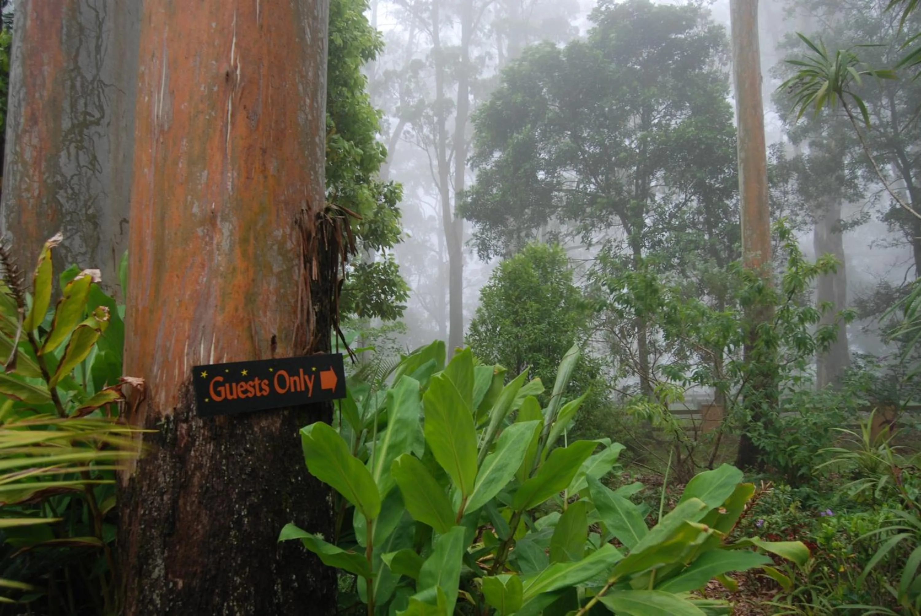 Facade/entrance in Witches Falls Cottages