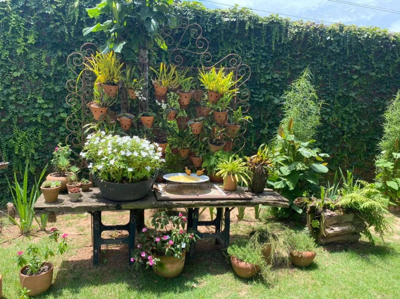 Garden in Pousada do Barão