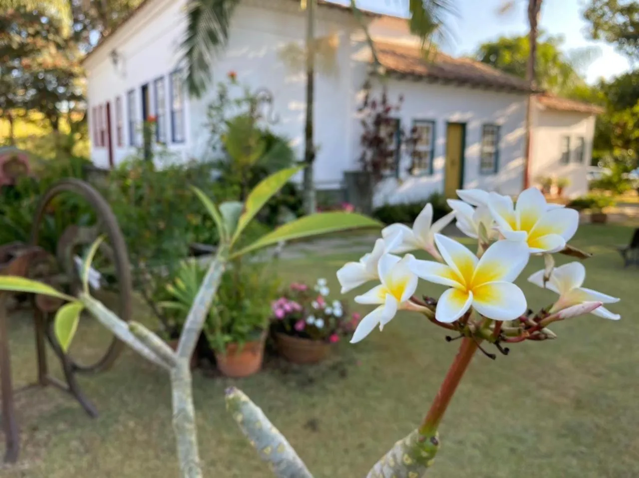 Garden in Pousada do Barão