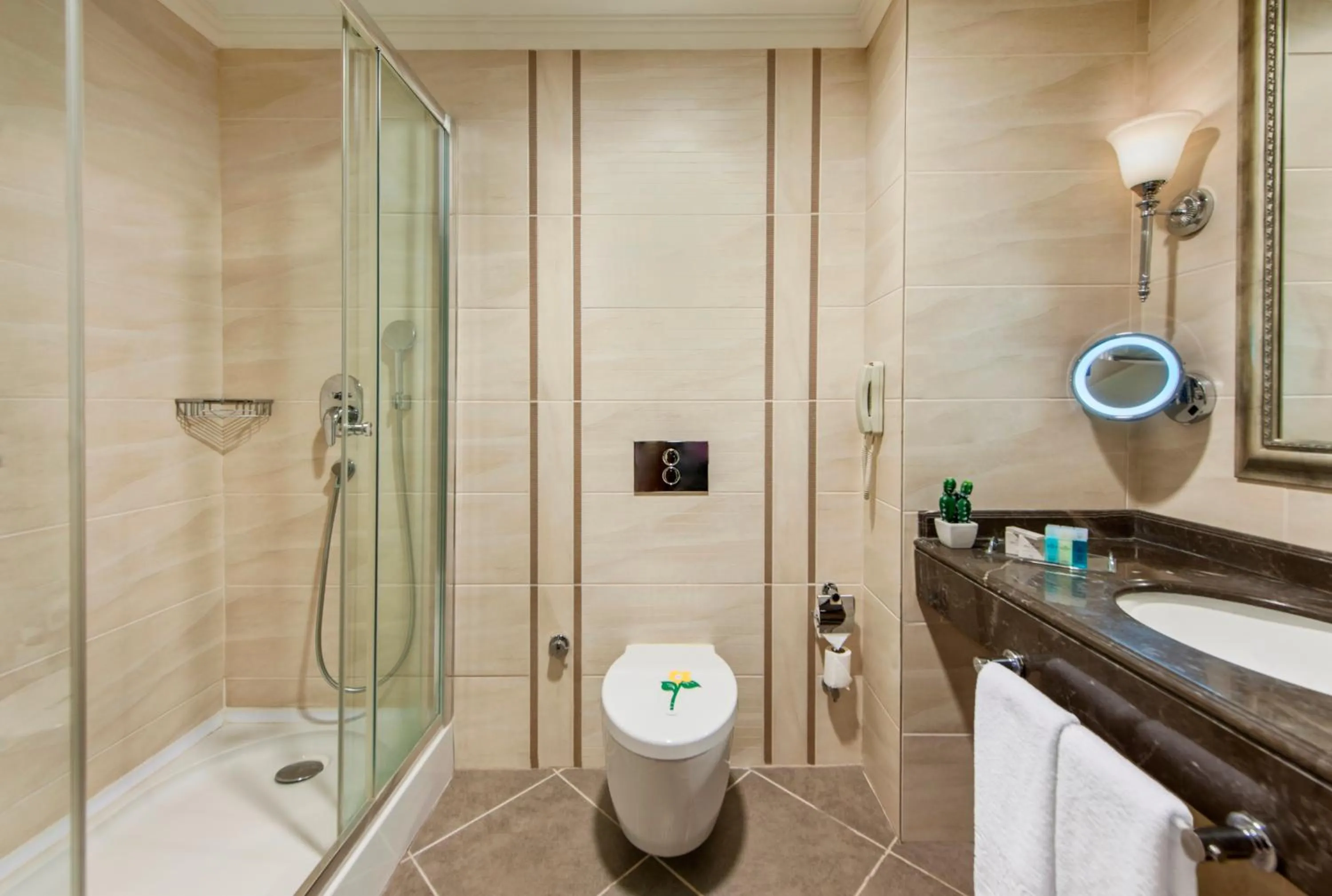 Bathroom in Elite World Van