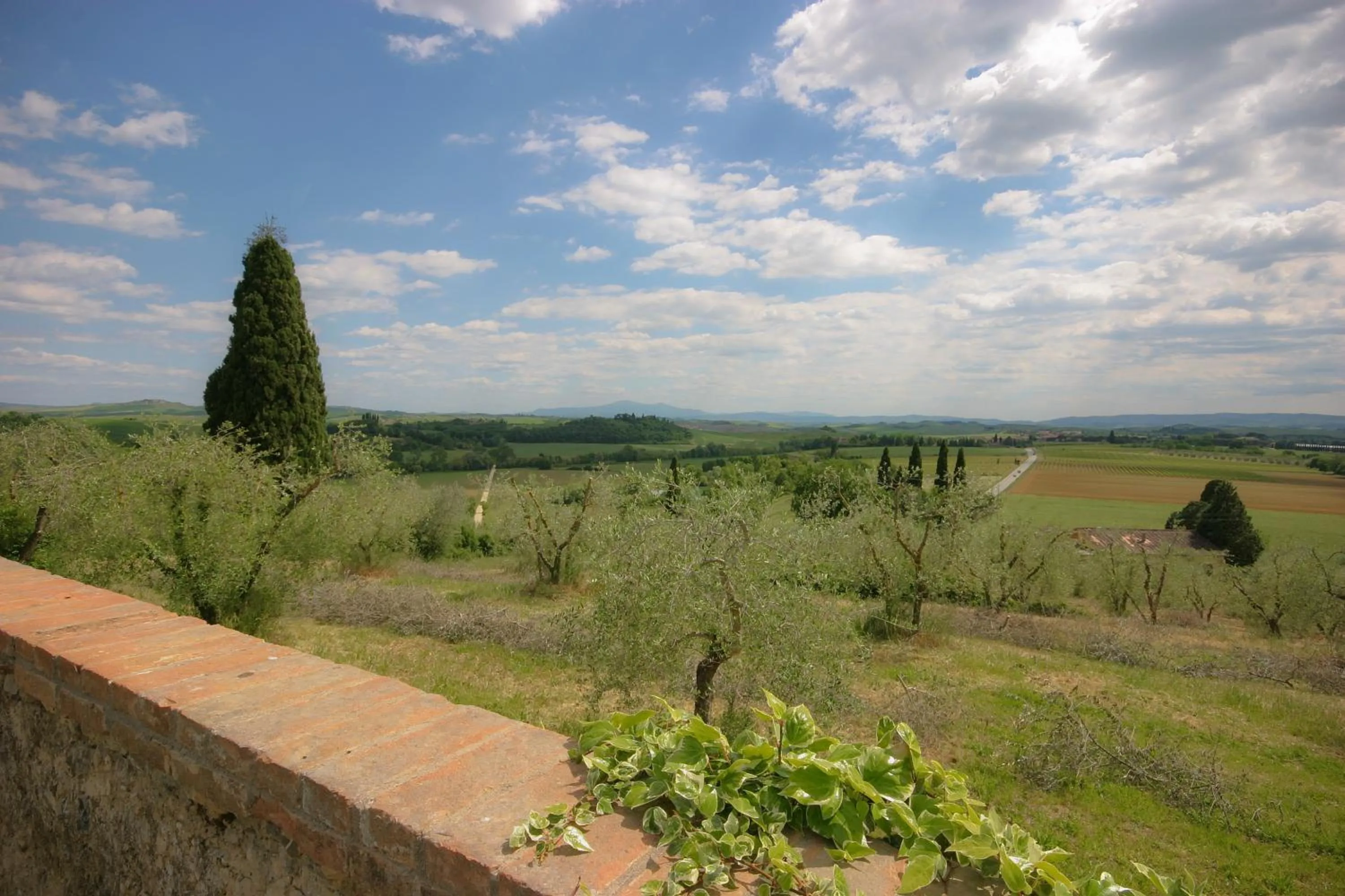 Natural landscape in Villa Brignole