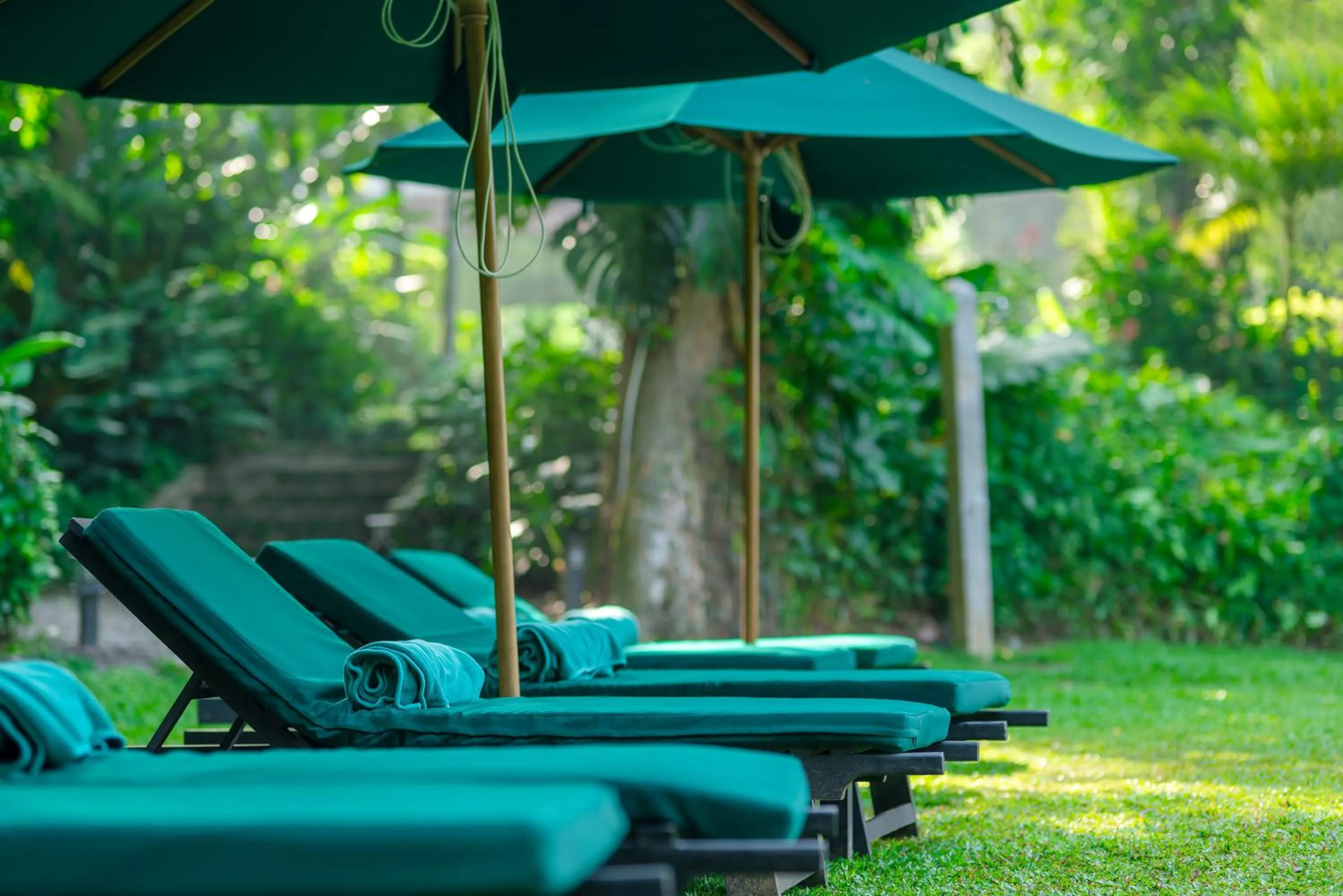 Swimming pool in The Kandy House