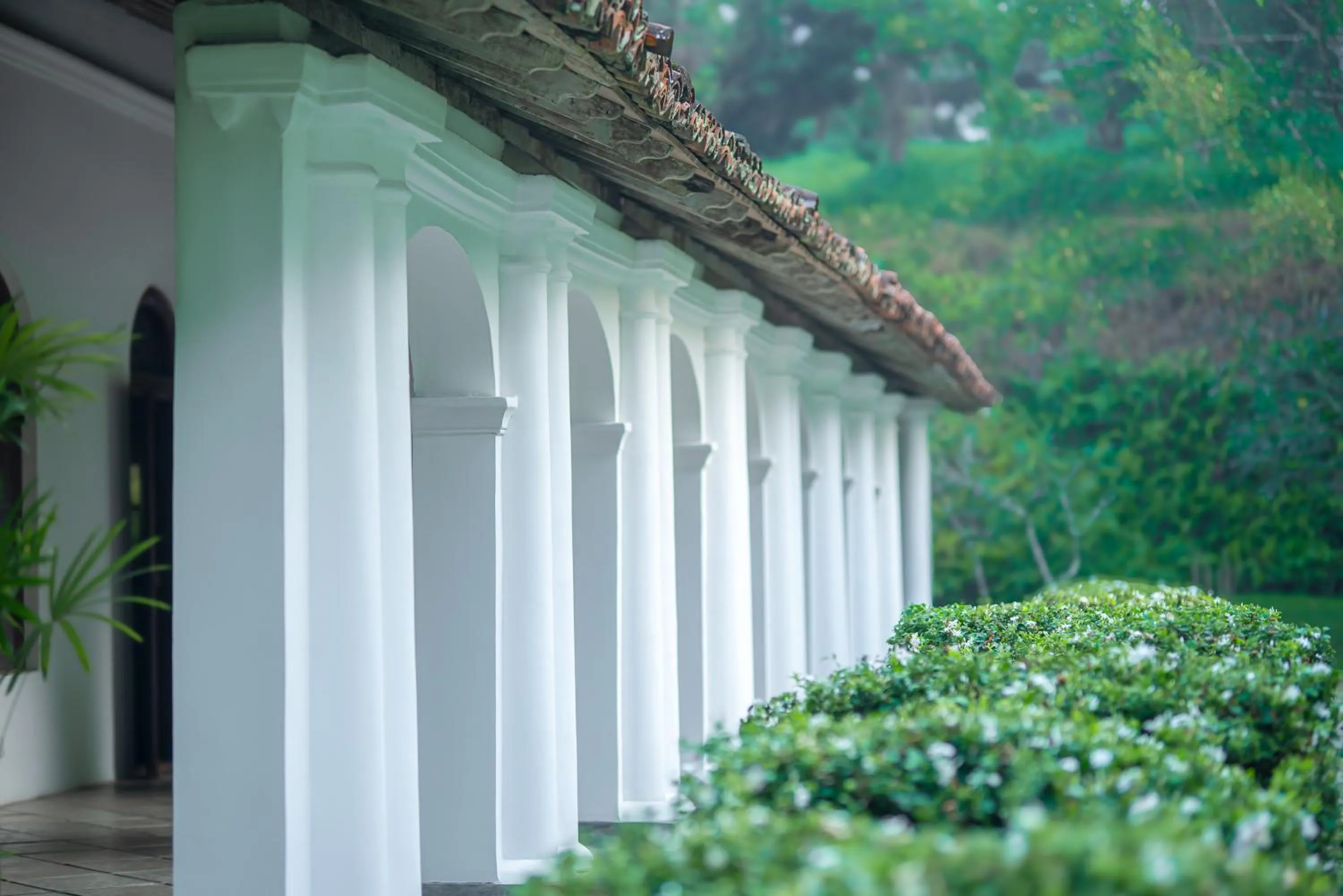 Property building in The Kandy House