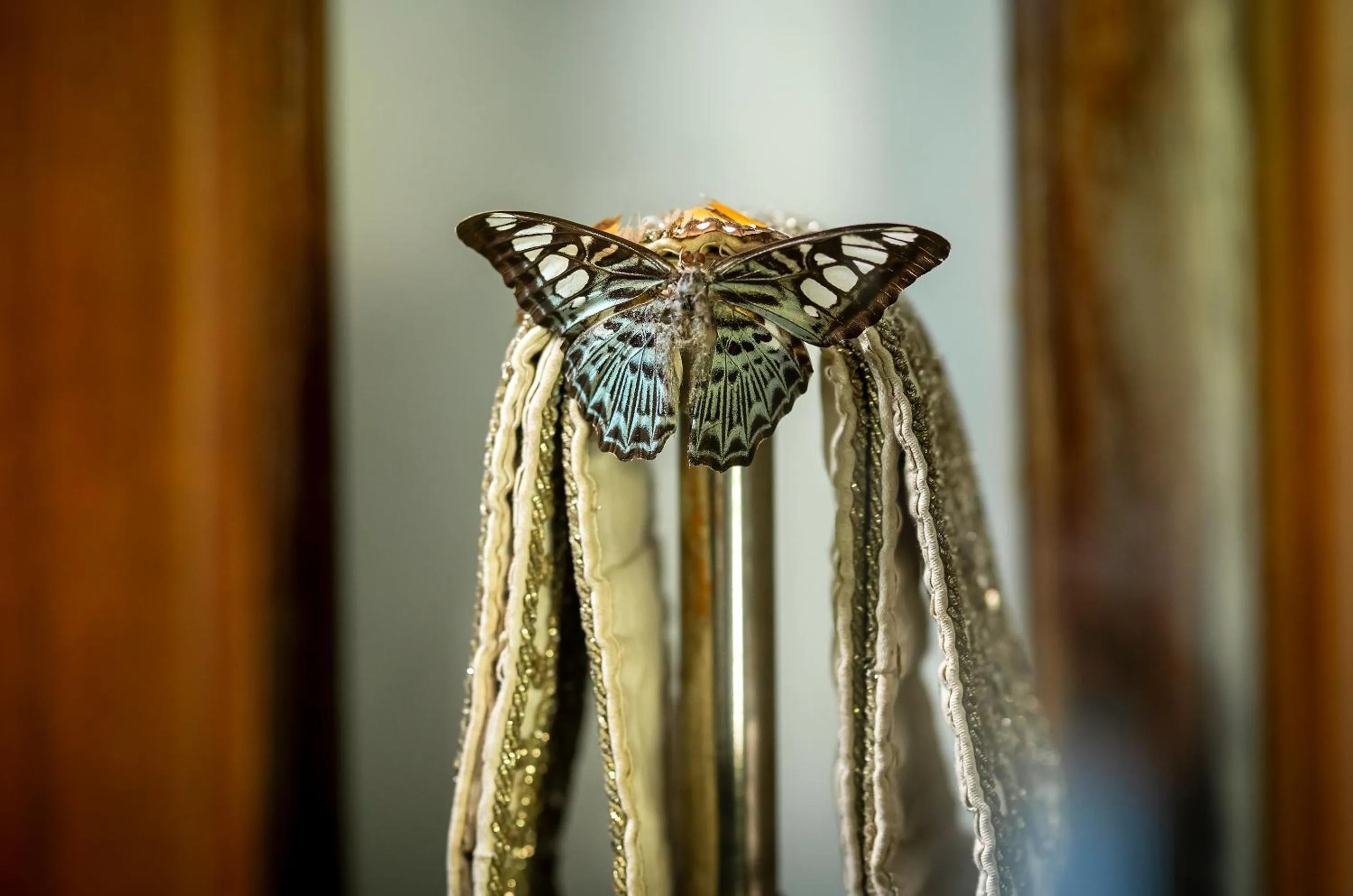 Decorative detail in The Kandy House
