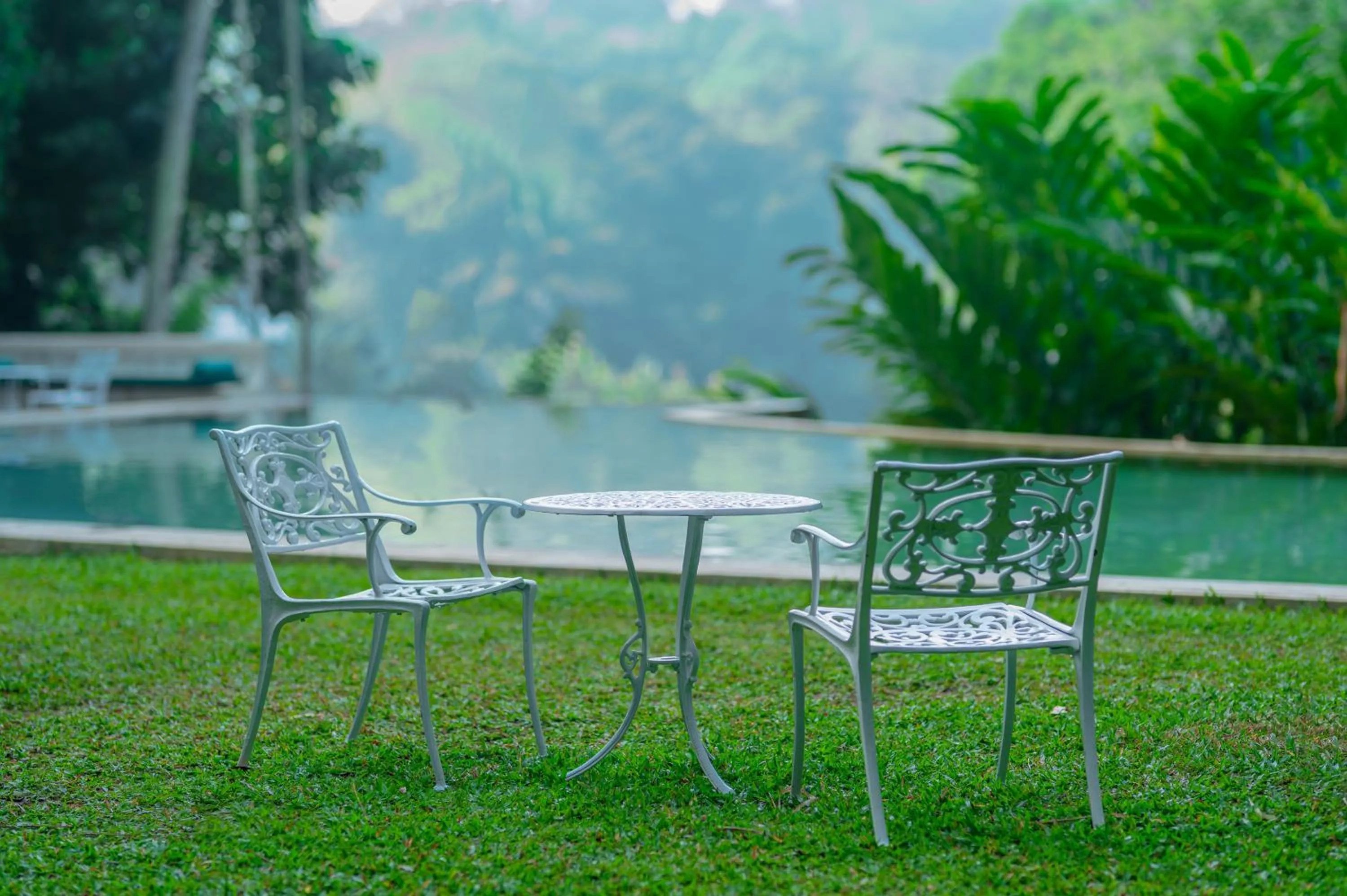Swimming pool in The Kandy House