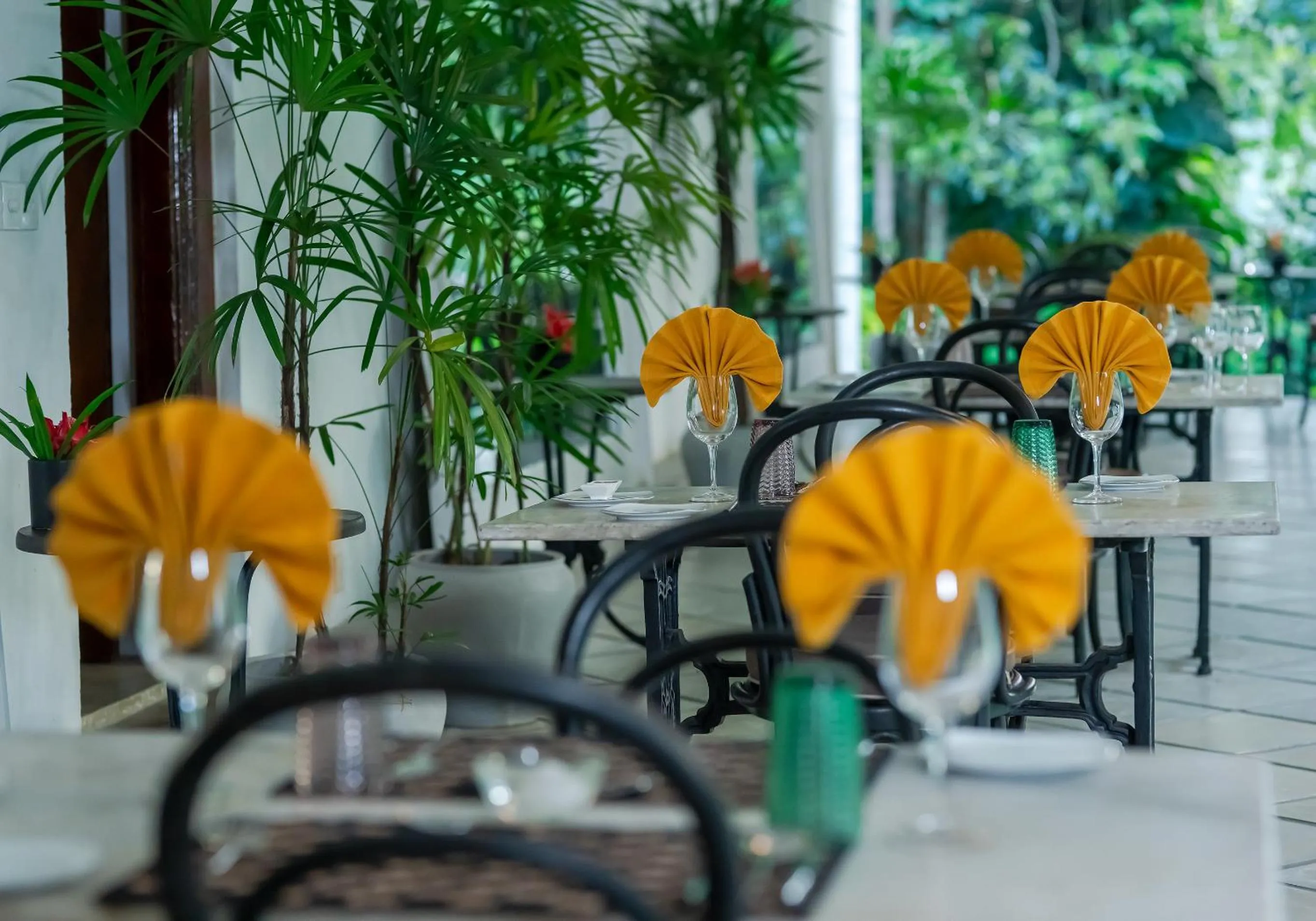 Restaurant/places to eat in The Kandy House