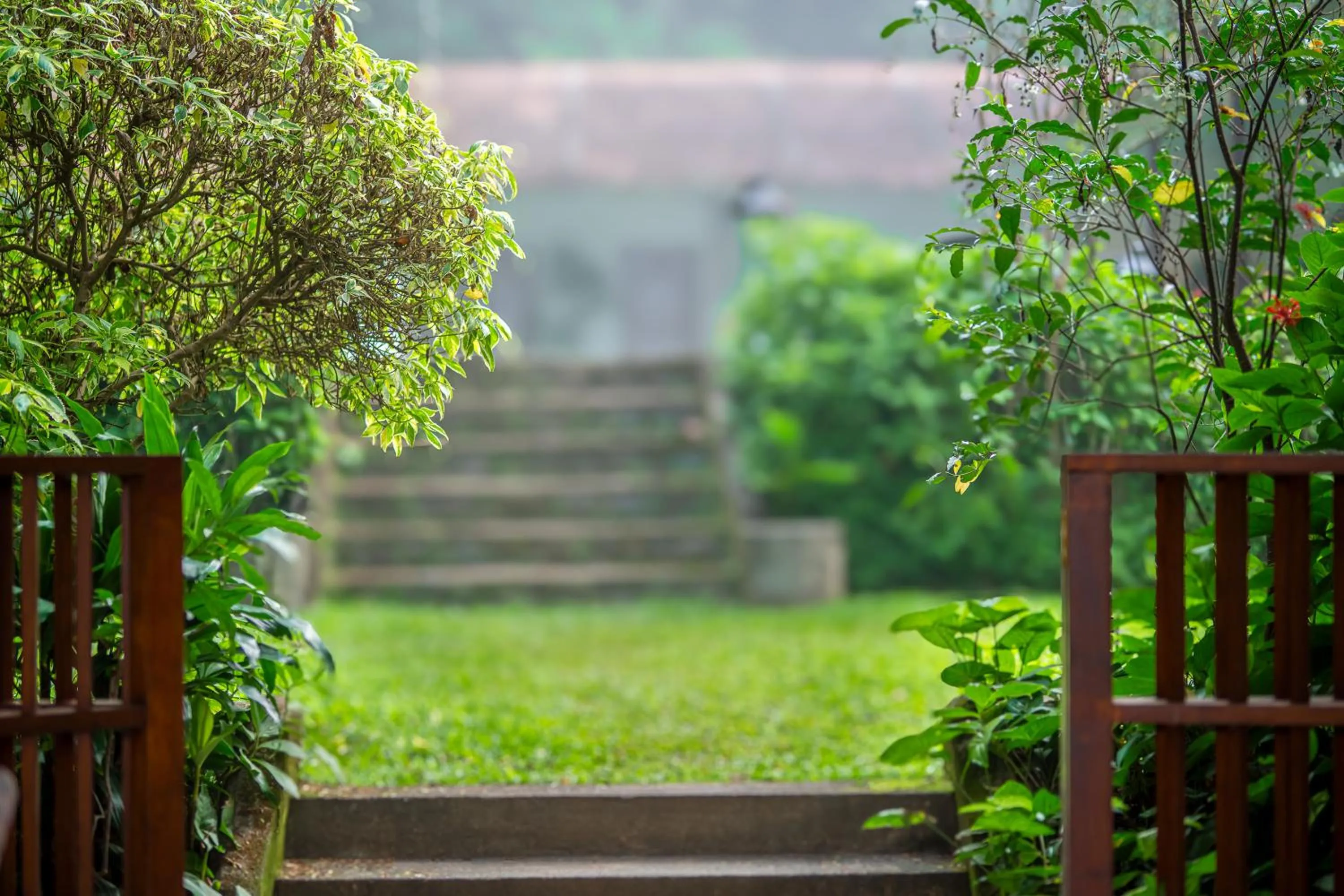 Garden in The Kandy House