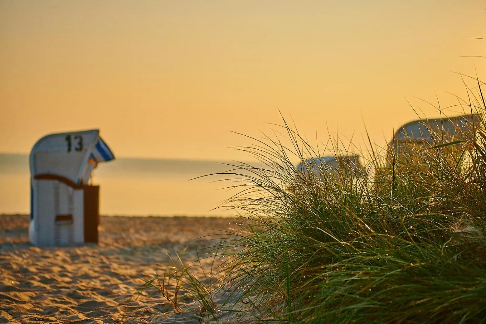 Beach in Strandhotel Fontana