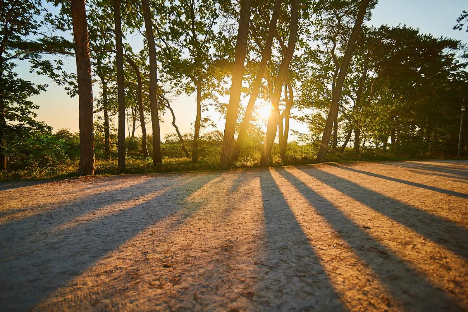 View (from property/room) in Strandhotel Fontana
