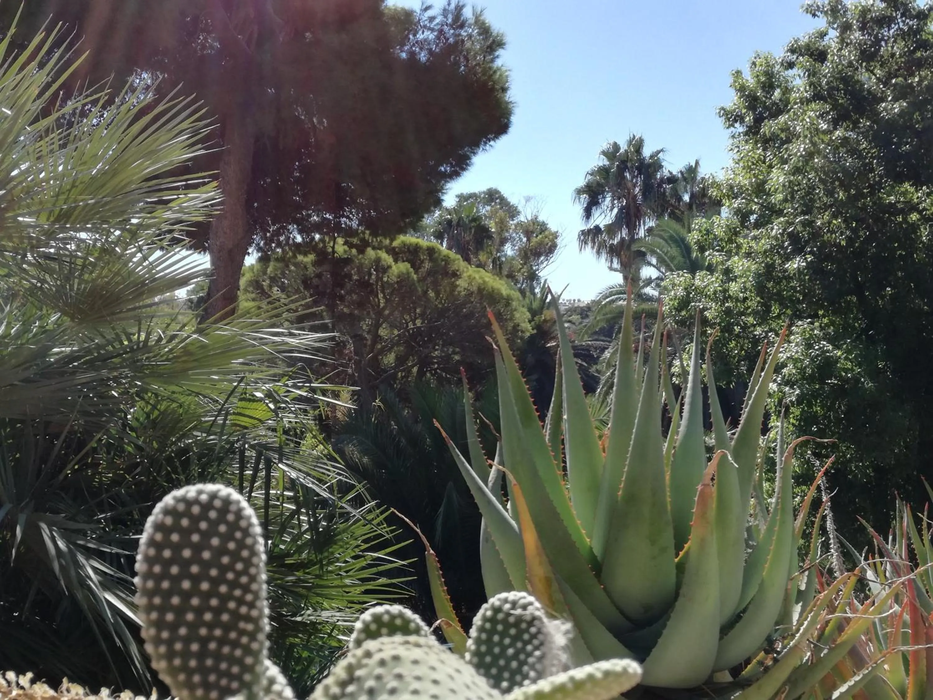 Nearby landmark in Su Murdegu