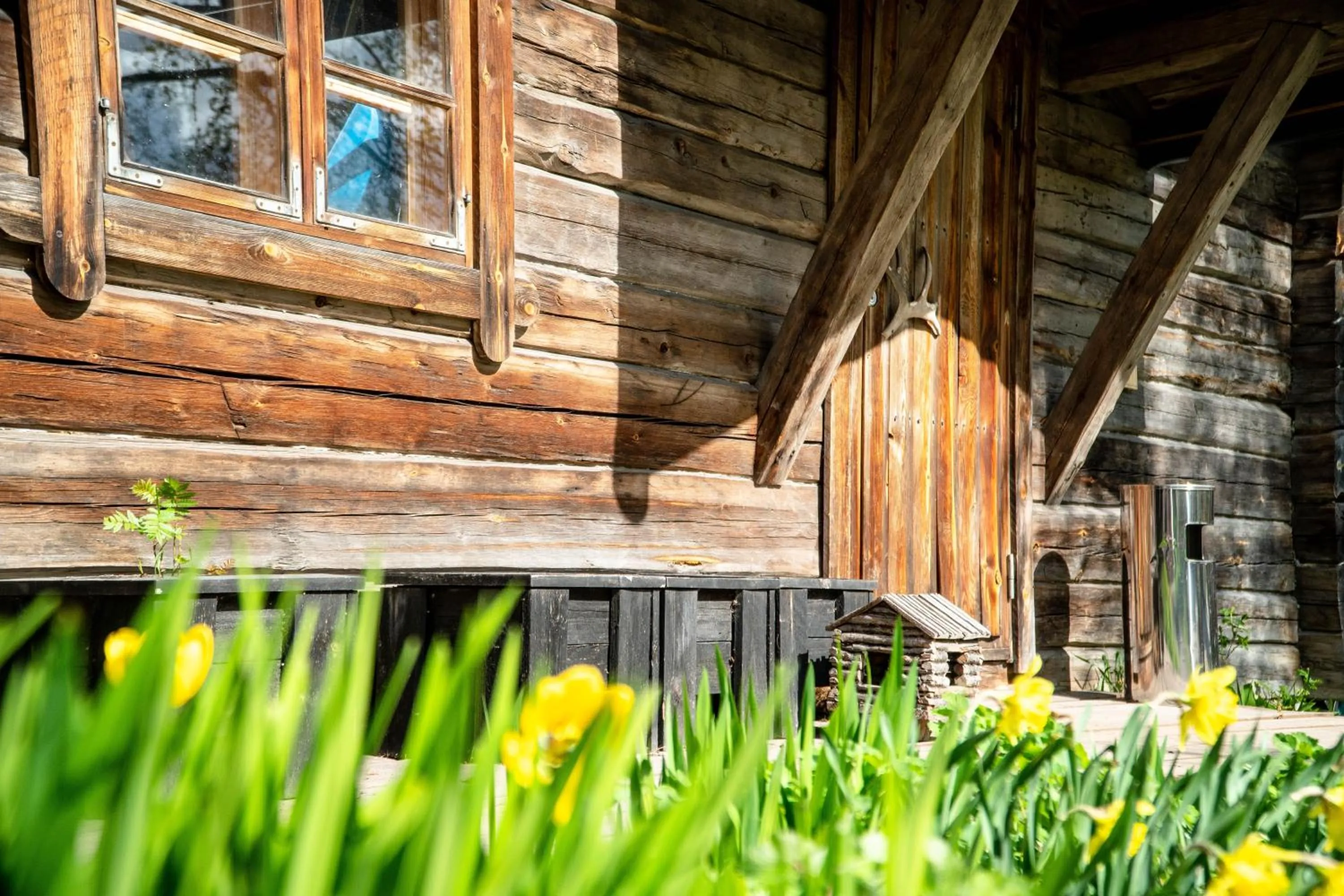 Summer in LAURI Historical Log House Manor