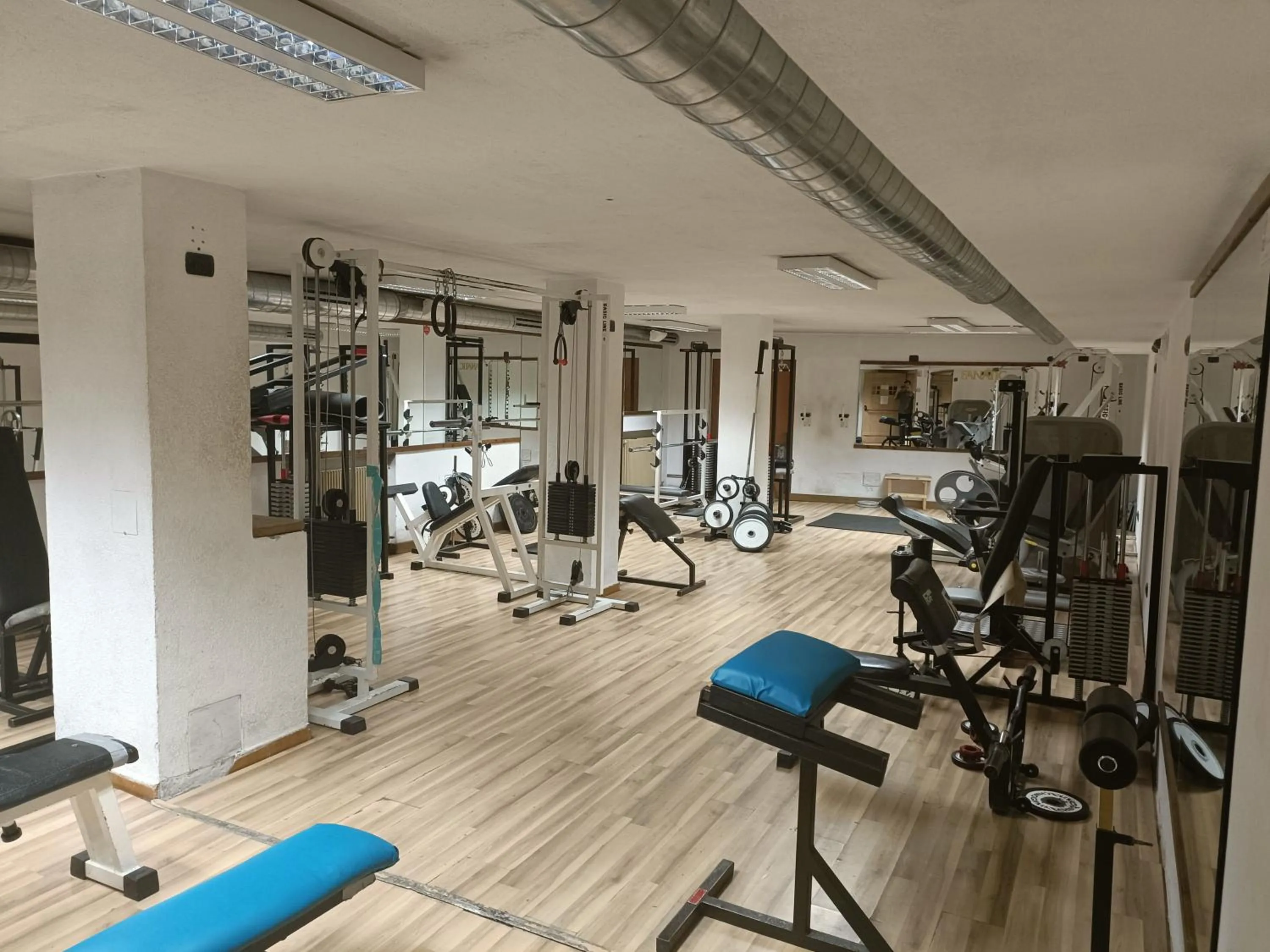 Fitness centre/facilities in Steinbock B&B - Apartaments