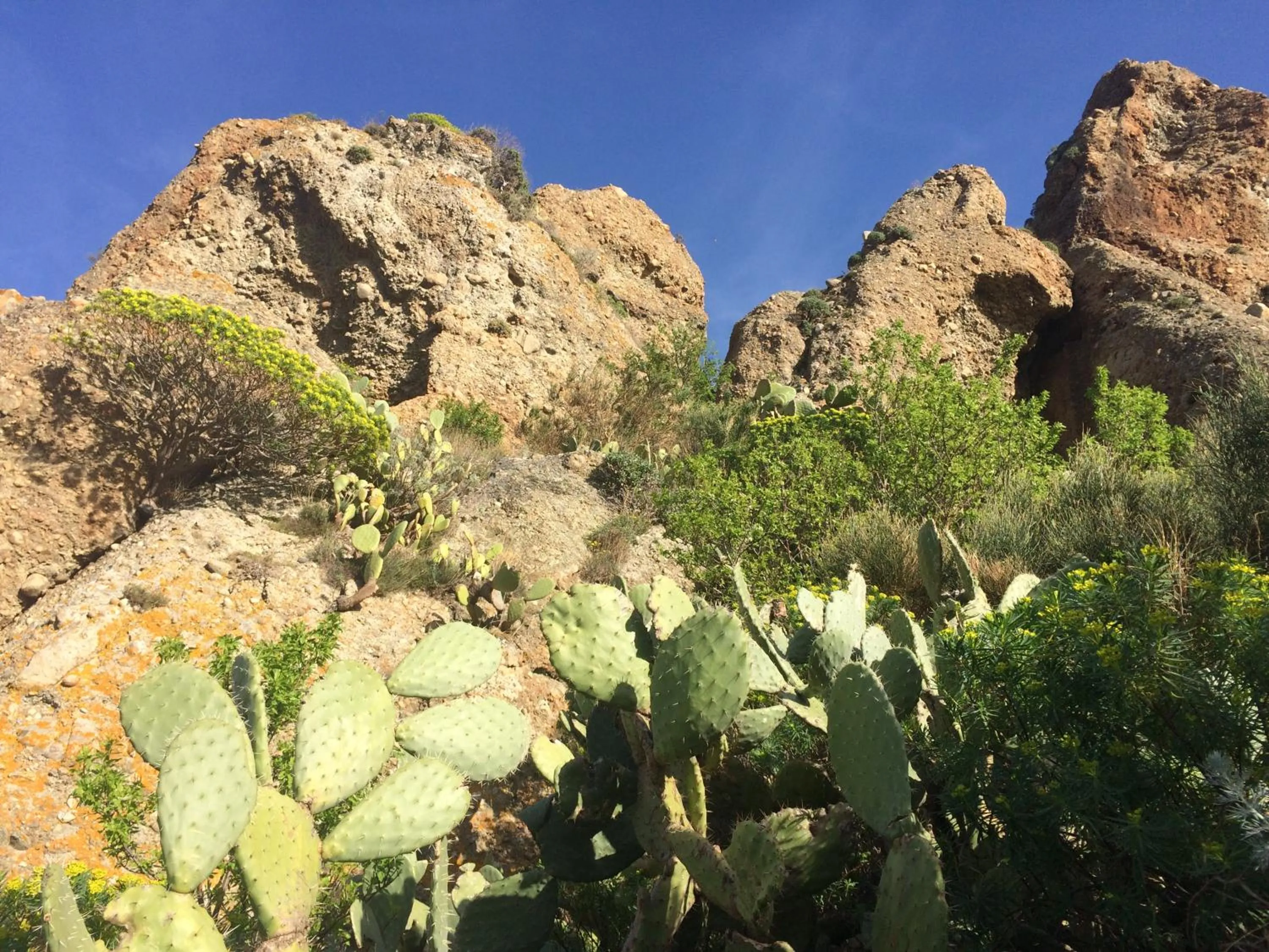 On site in Hotel Il Girasole