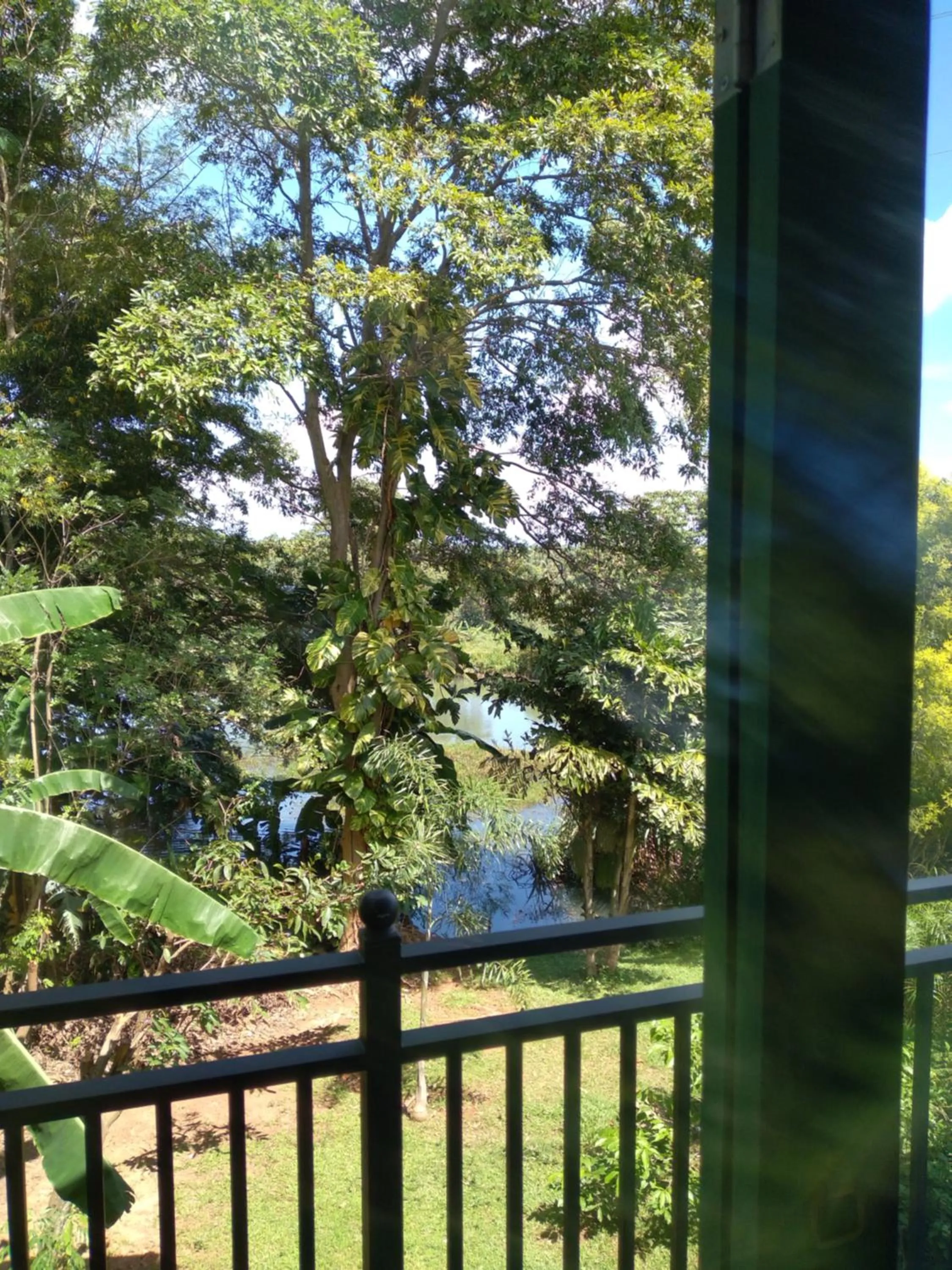 Garden in Vimanra Udawalawa