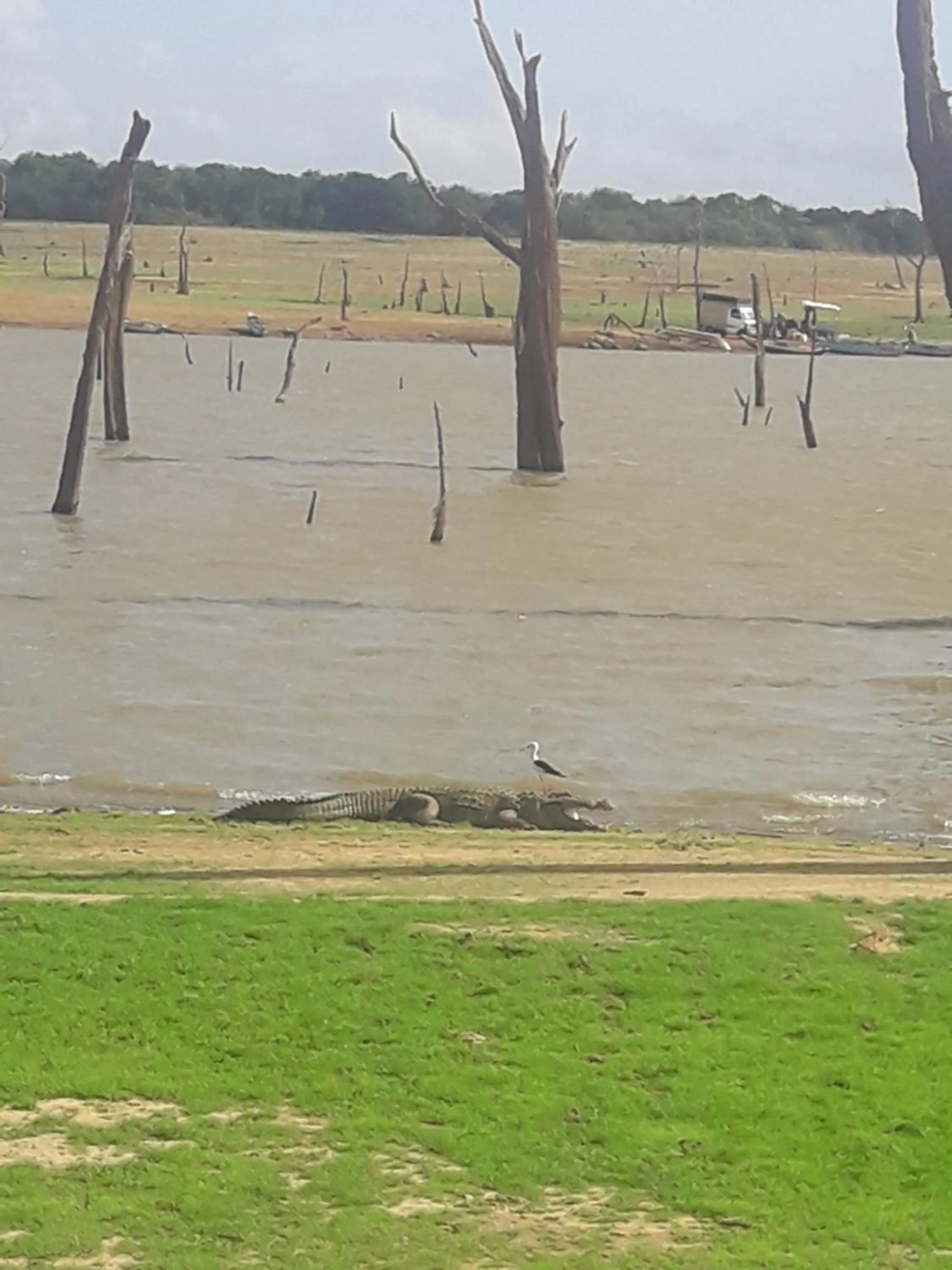 Off site in Vimanra Udawalawa