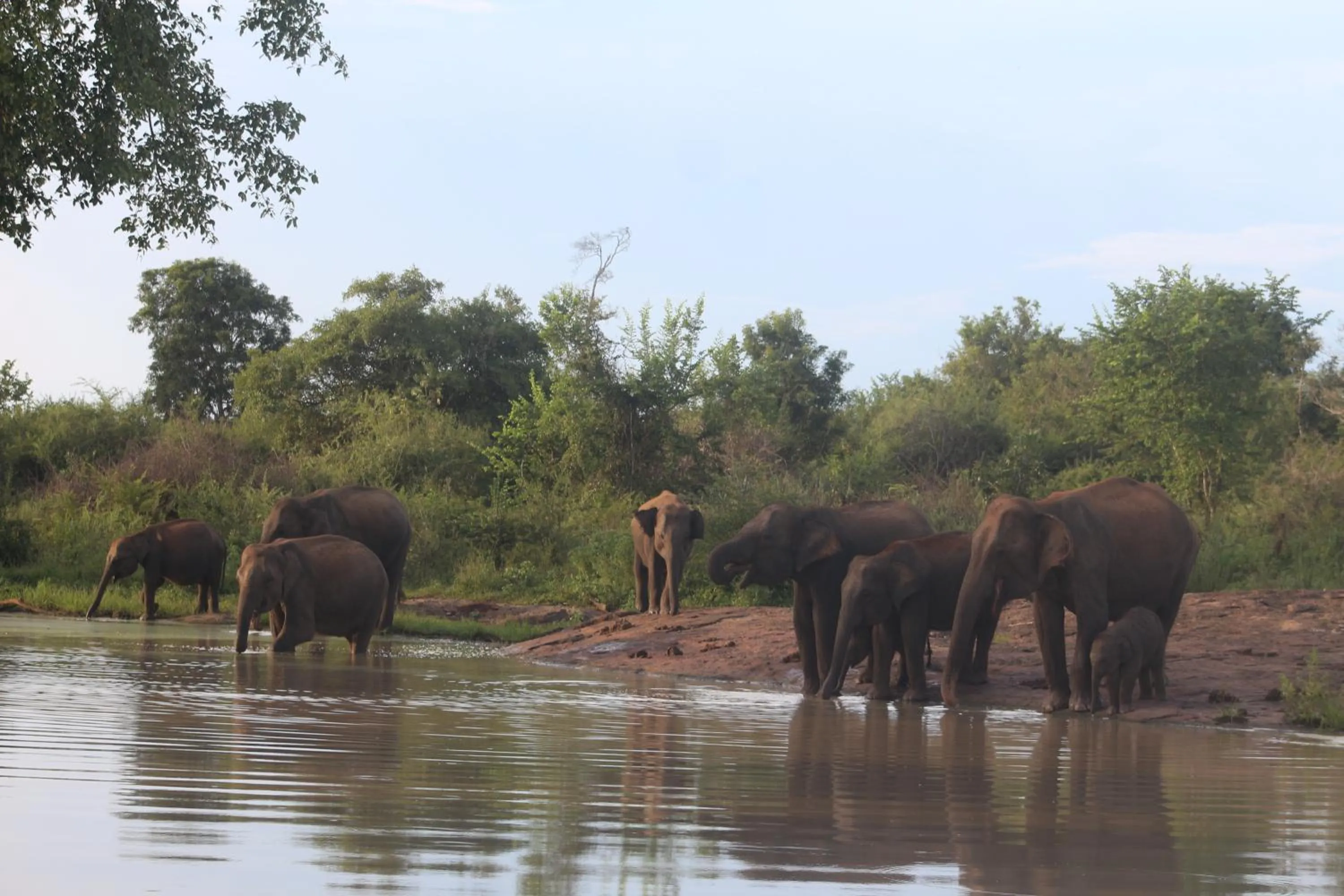 Off site in Vimanra Udawalawa