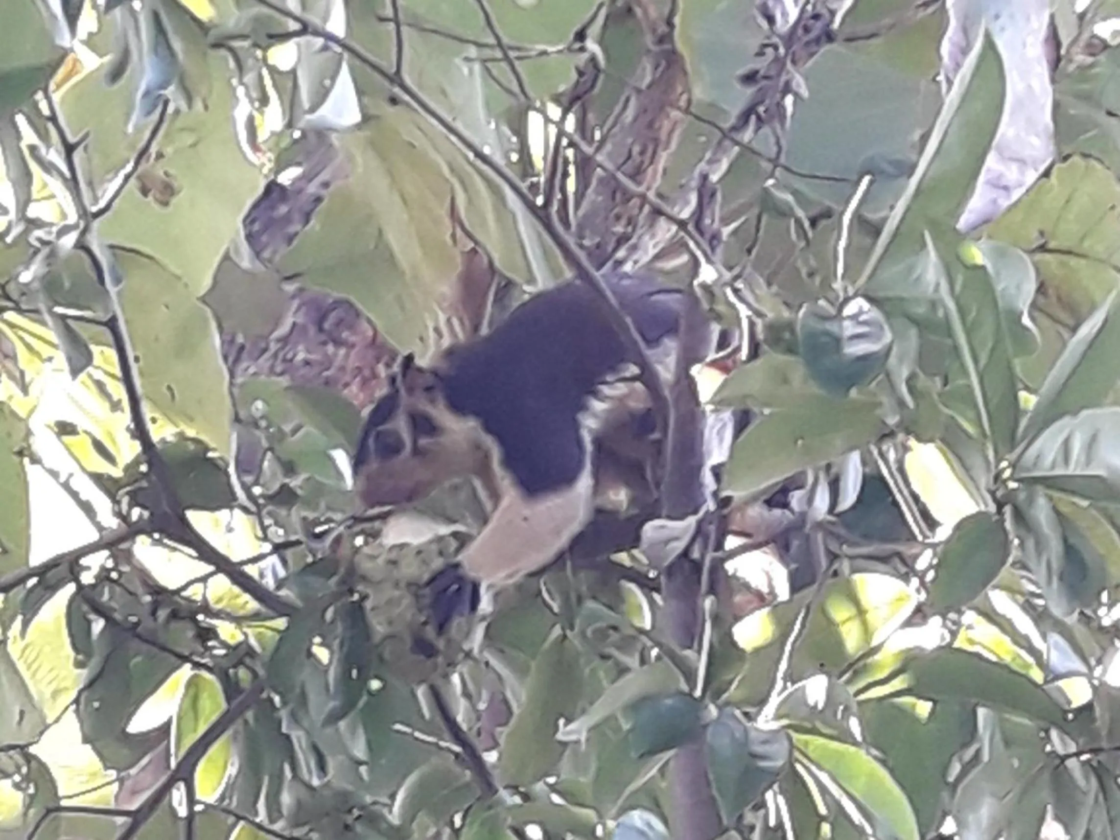 On site in Vimanra Udawalawa