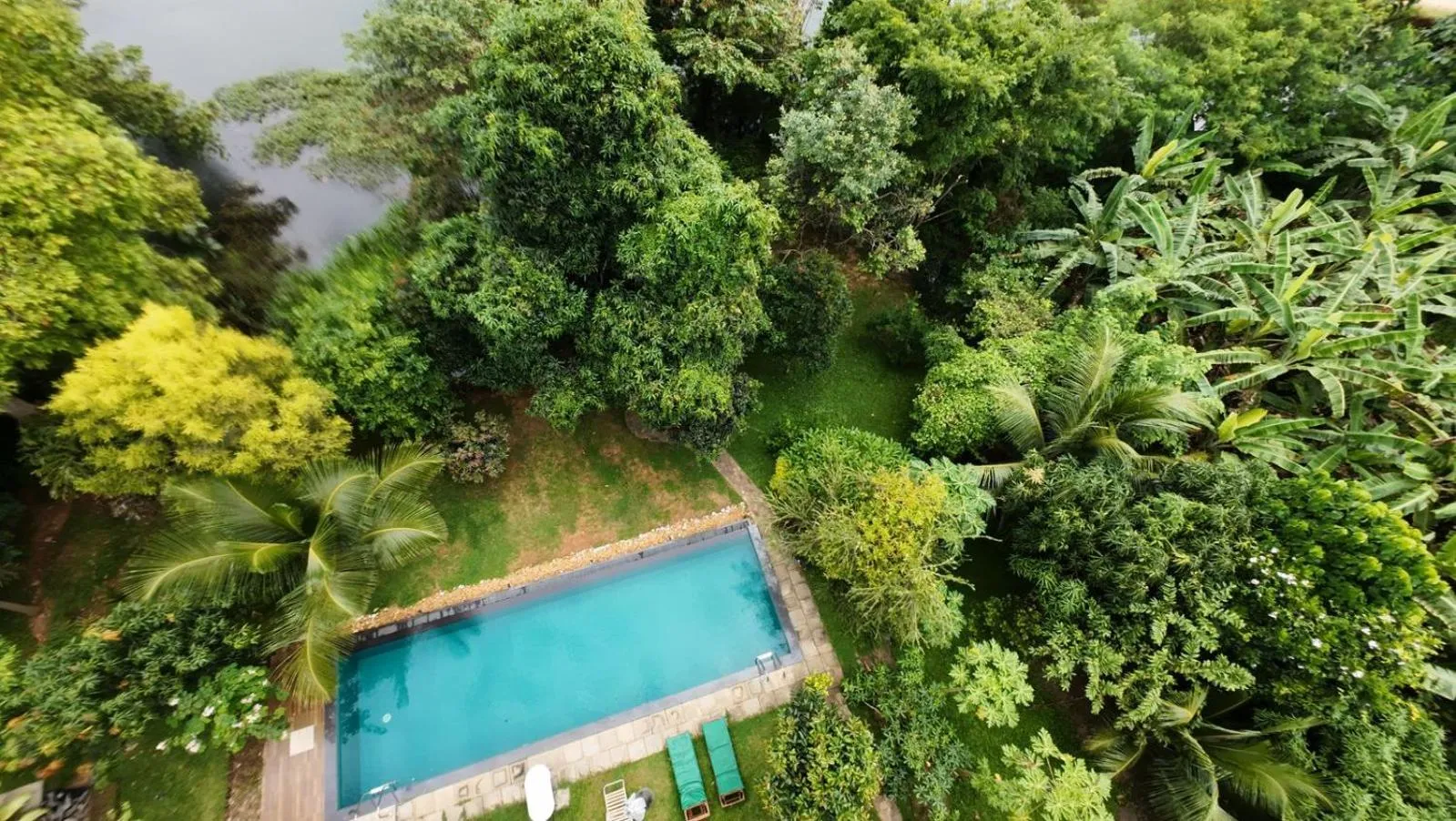 Swimming pool in Vimanra Udawalawa