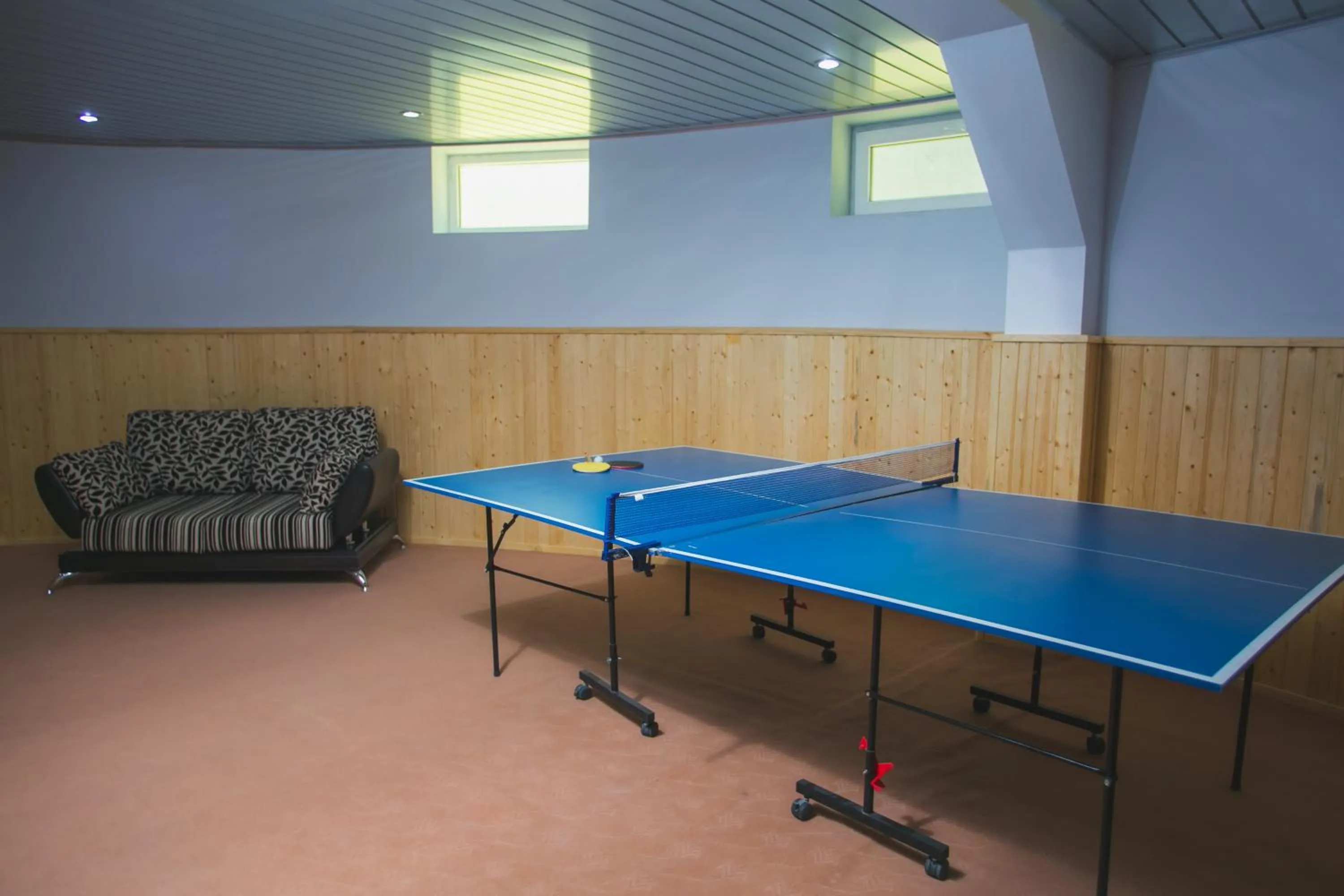 Table tennis in Panorama Villa Lux Hotel