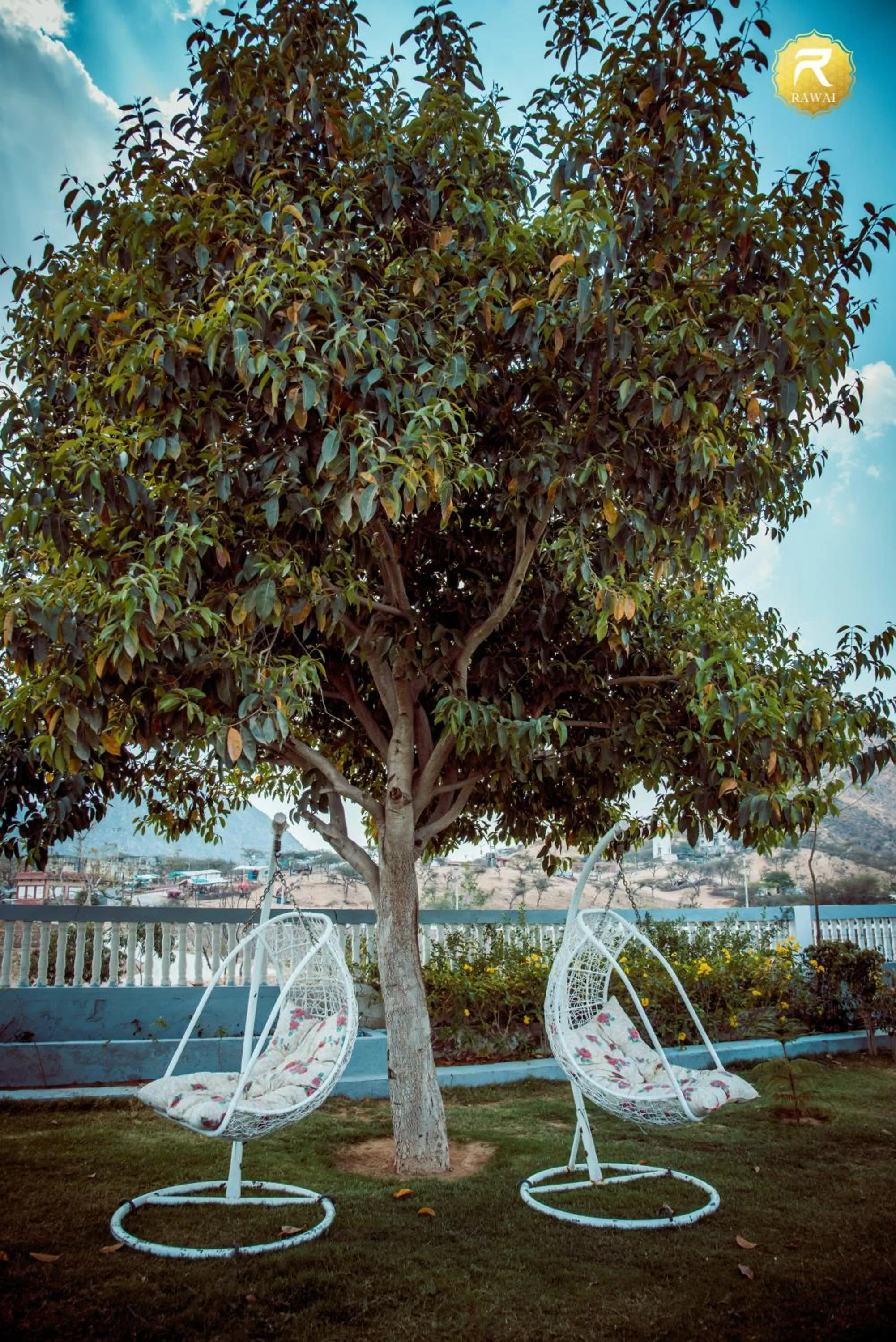 Garden in Rawai Luxury Tents Pushkar