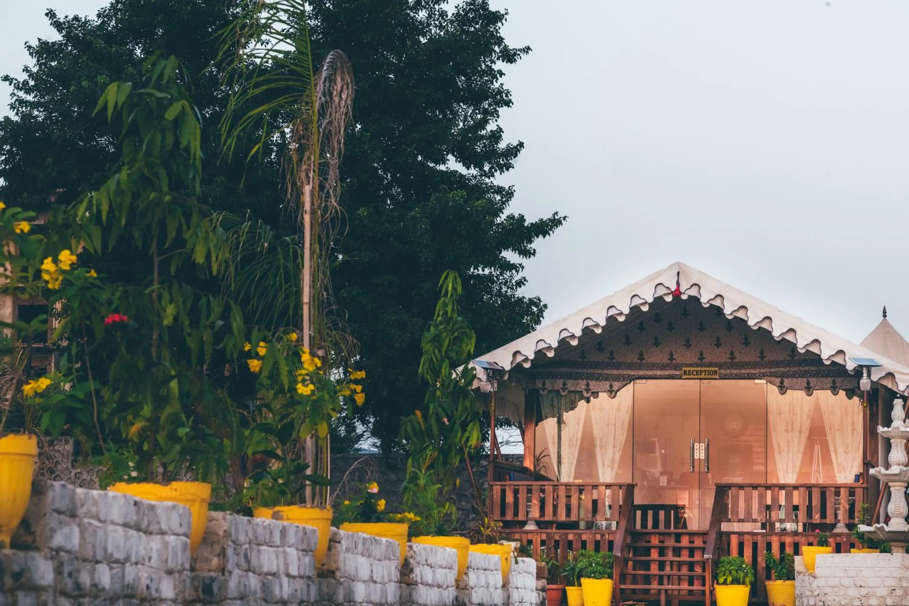 Garden view in Rawai Luxury Tents Pushkar