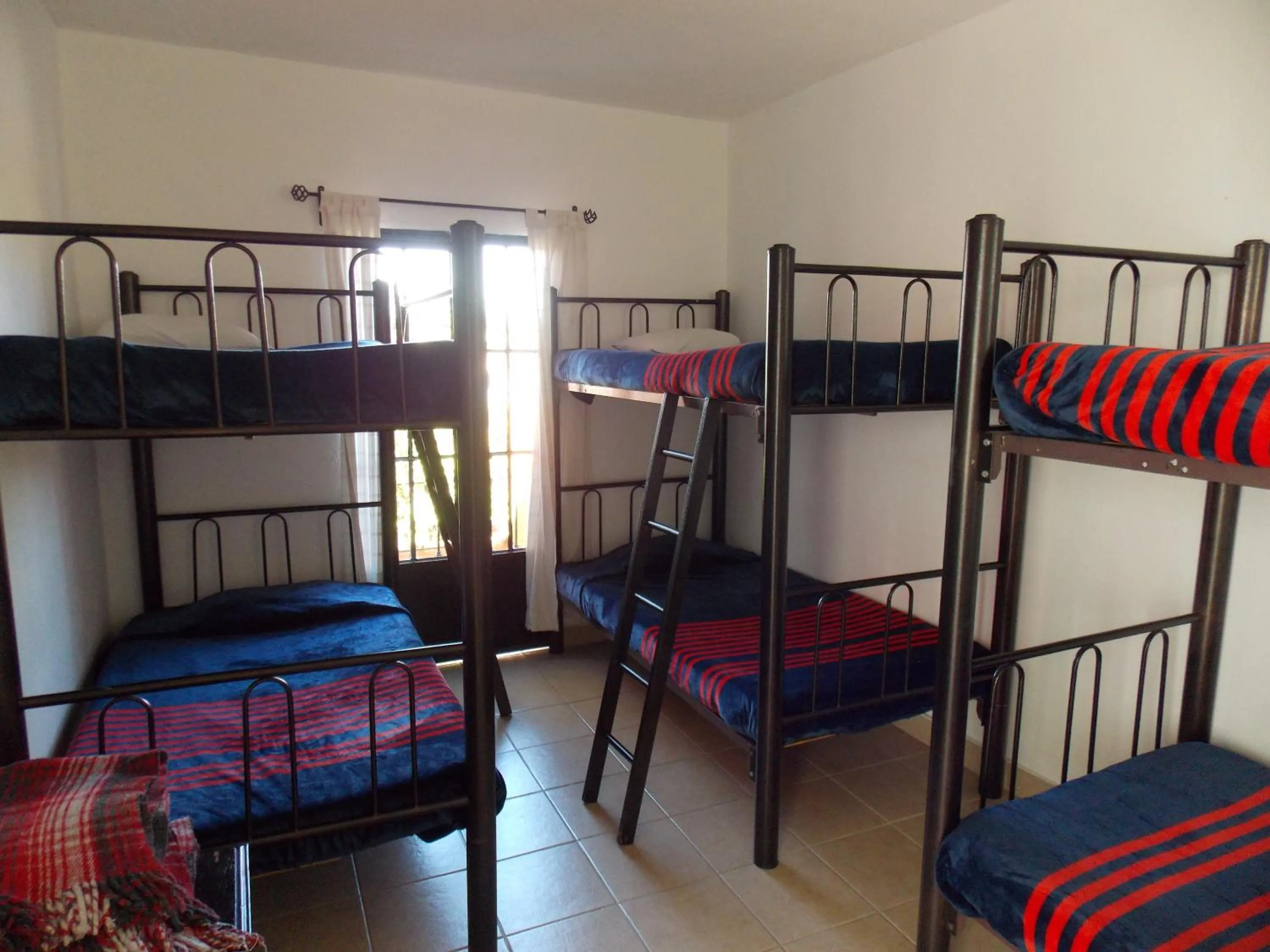 bunk bed, Bed in Hostel Inn