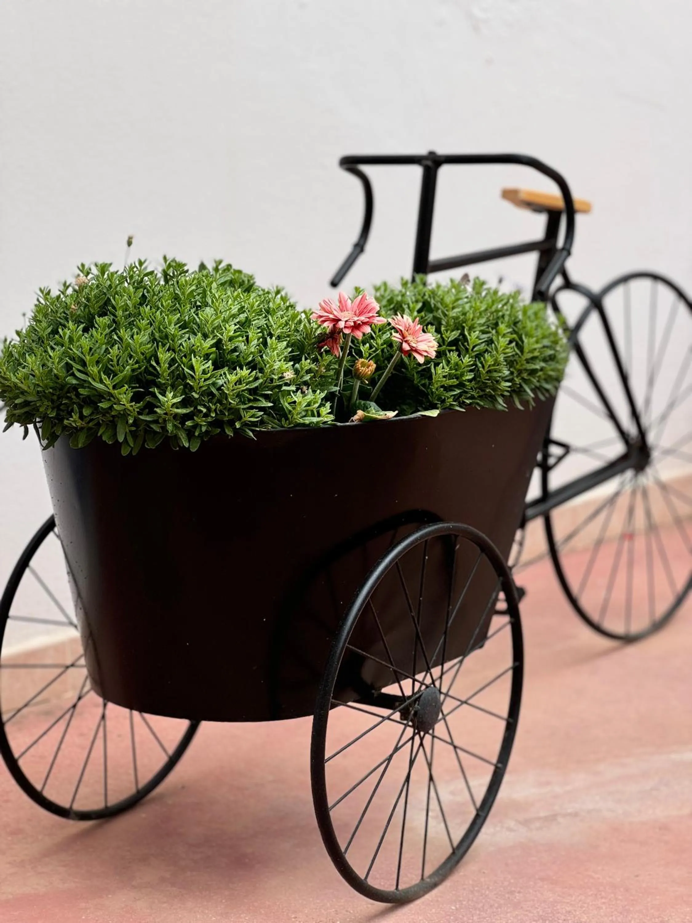 B&B Santa Maria Di Leuca