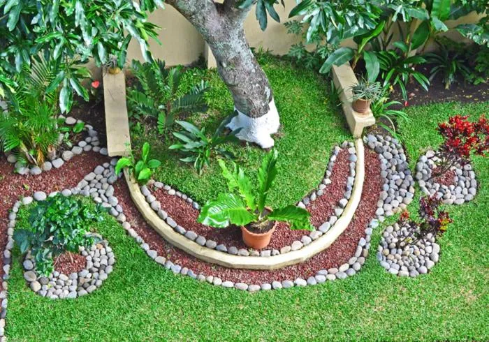 Garden in Casa Tropical