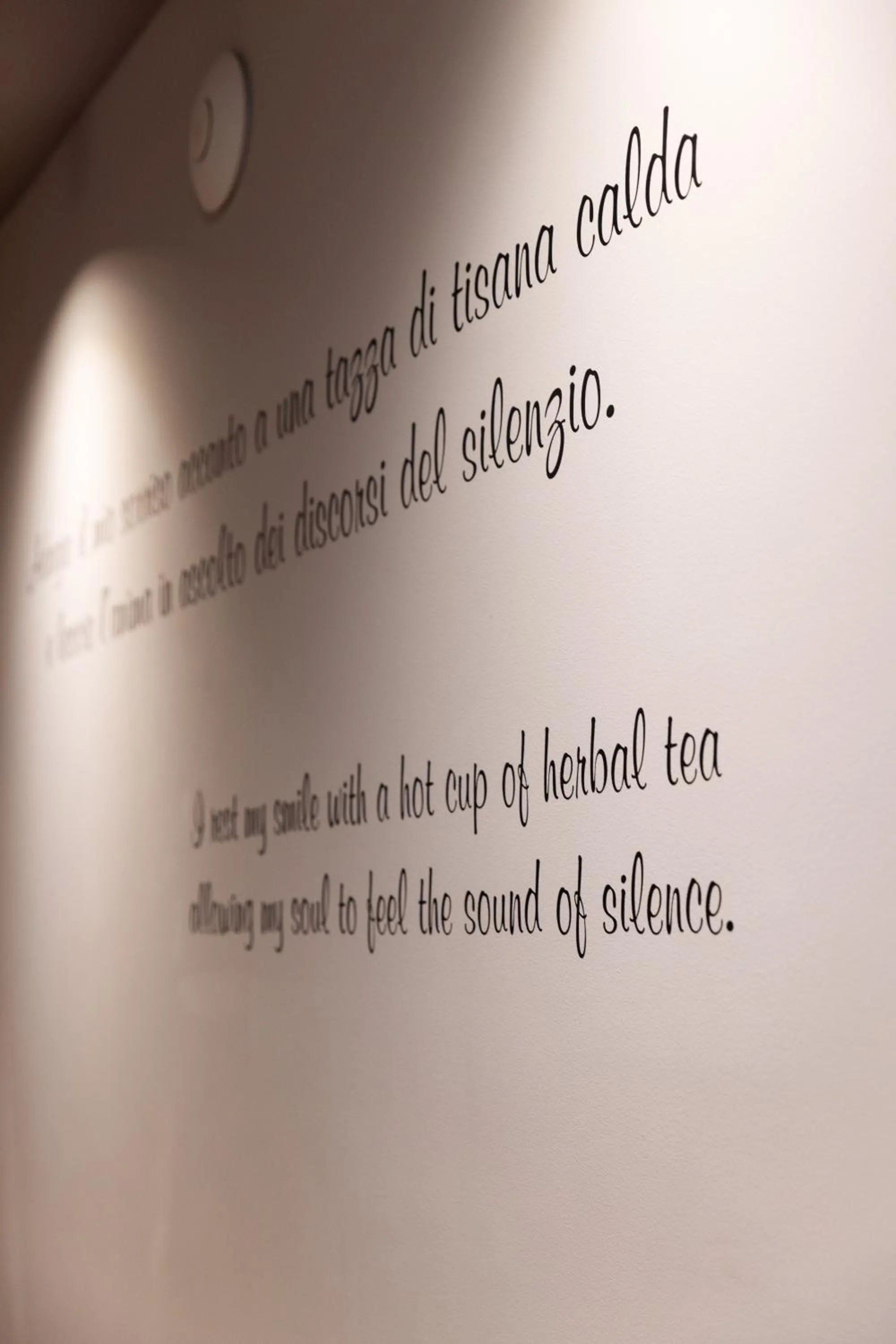 Text overlay in Alpen Hotel Vidi