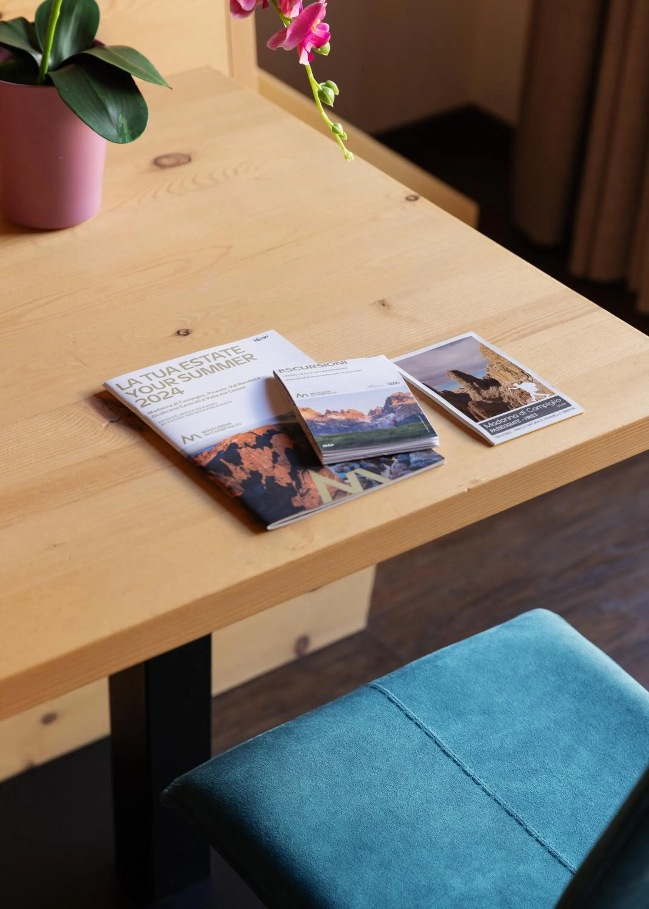 Seating area in Alpen Hotel Vidi
