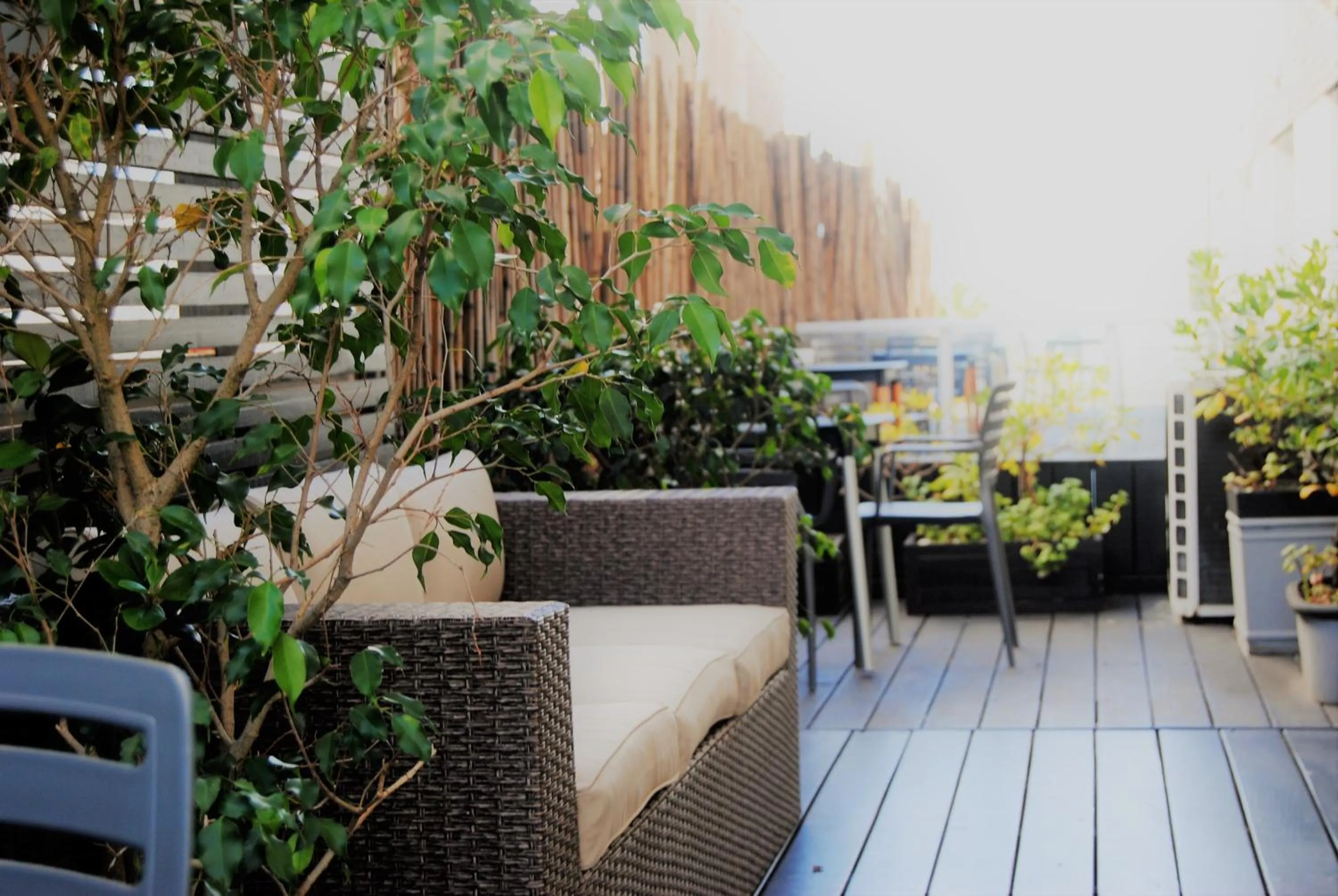 Property building in Hotel Castilla