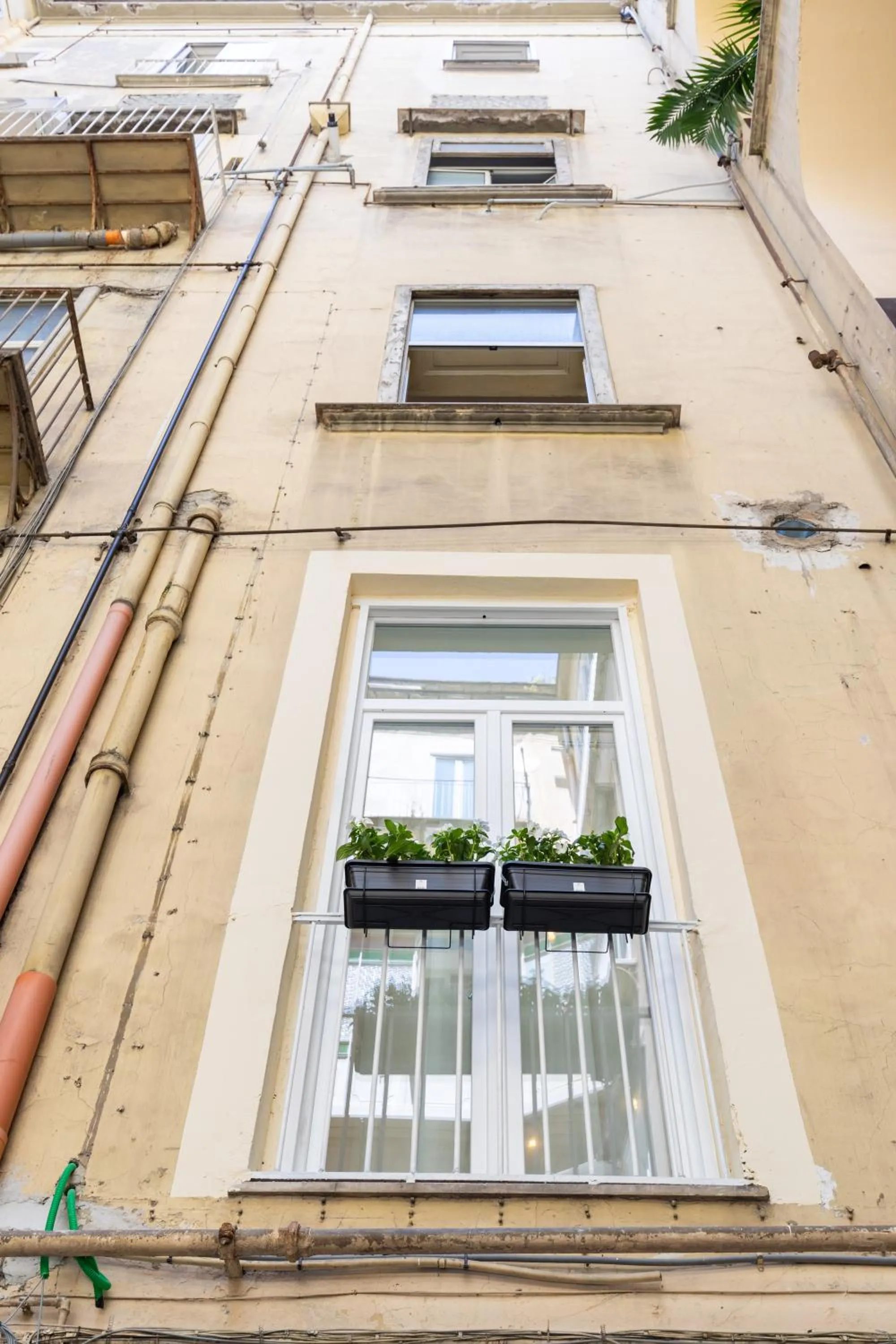 Property building in Palazzo Della Porta