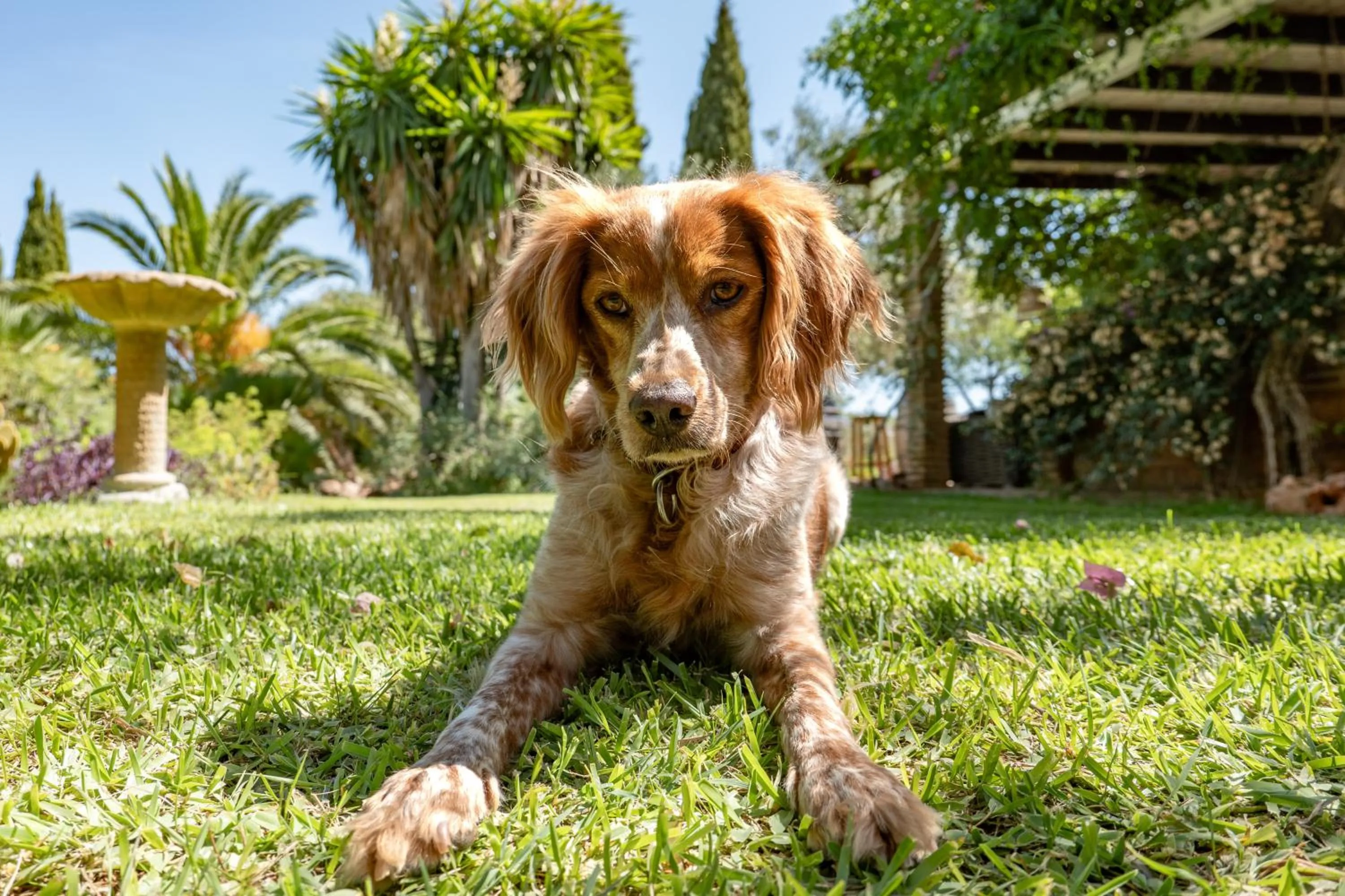 Roca Verde, Boutique Bed & Breakfast - Adults only