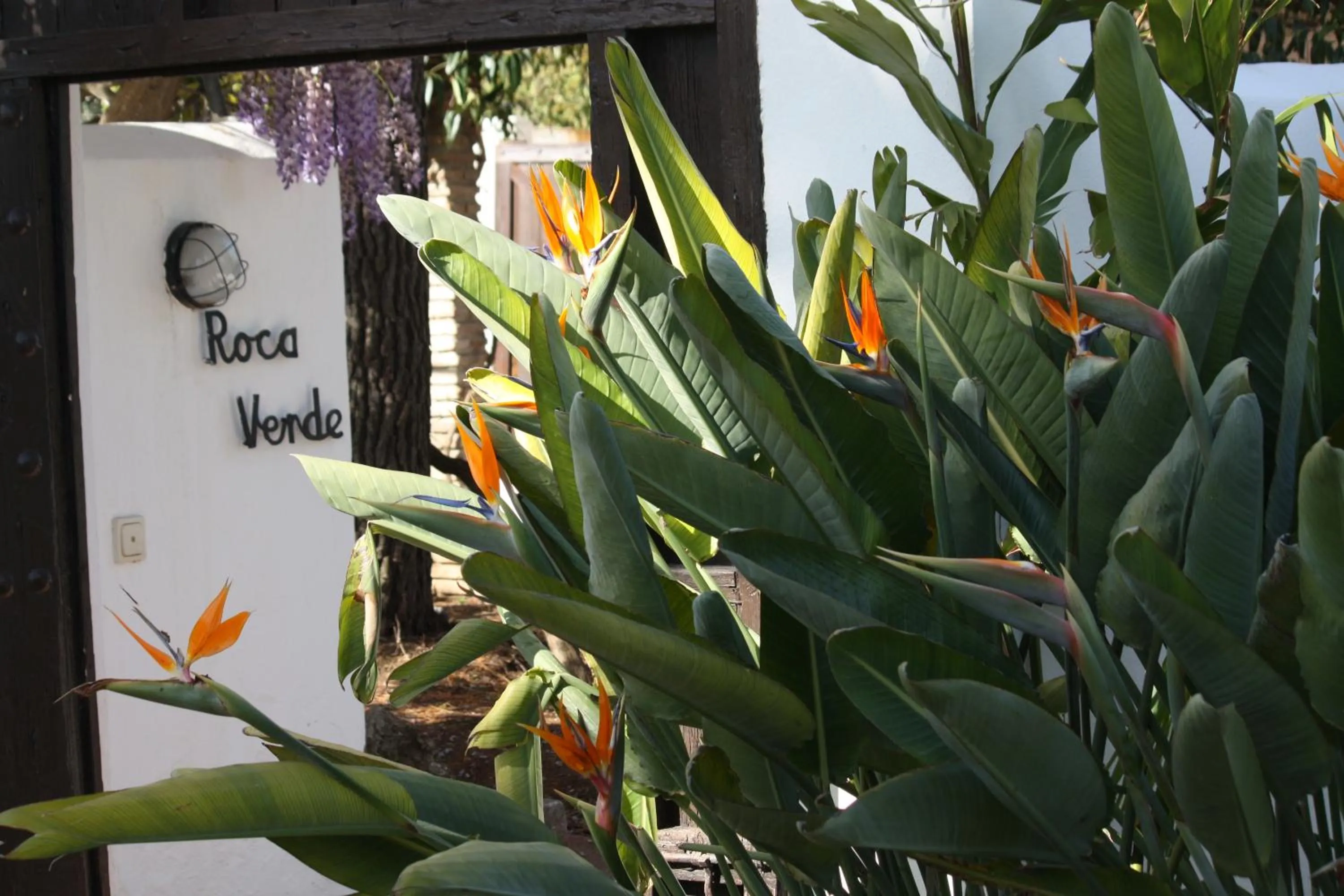 Patio in Roca Verde, Boutique Bed & Breakfast - Adults only