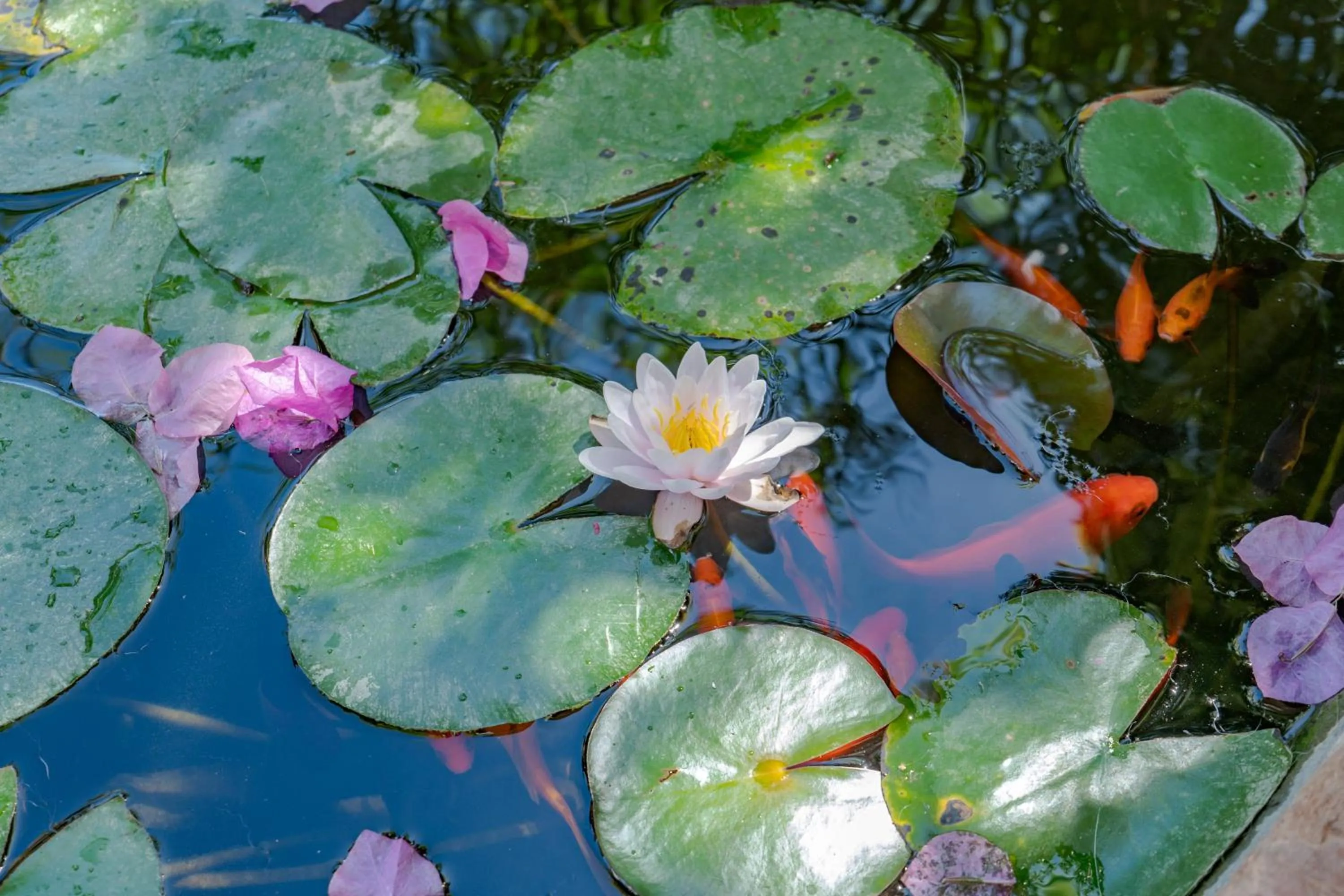 Roca Verde, Boutique Bed & Breakfast - Adults only