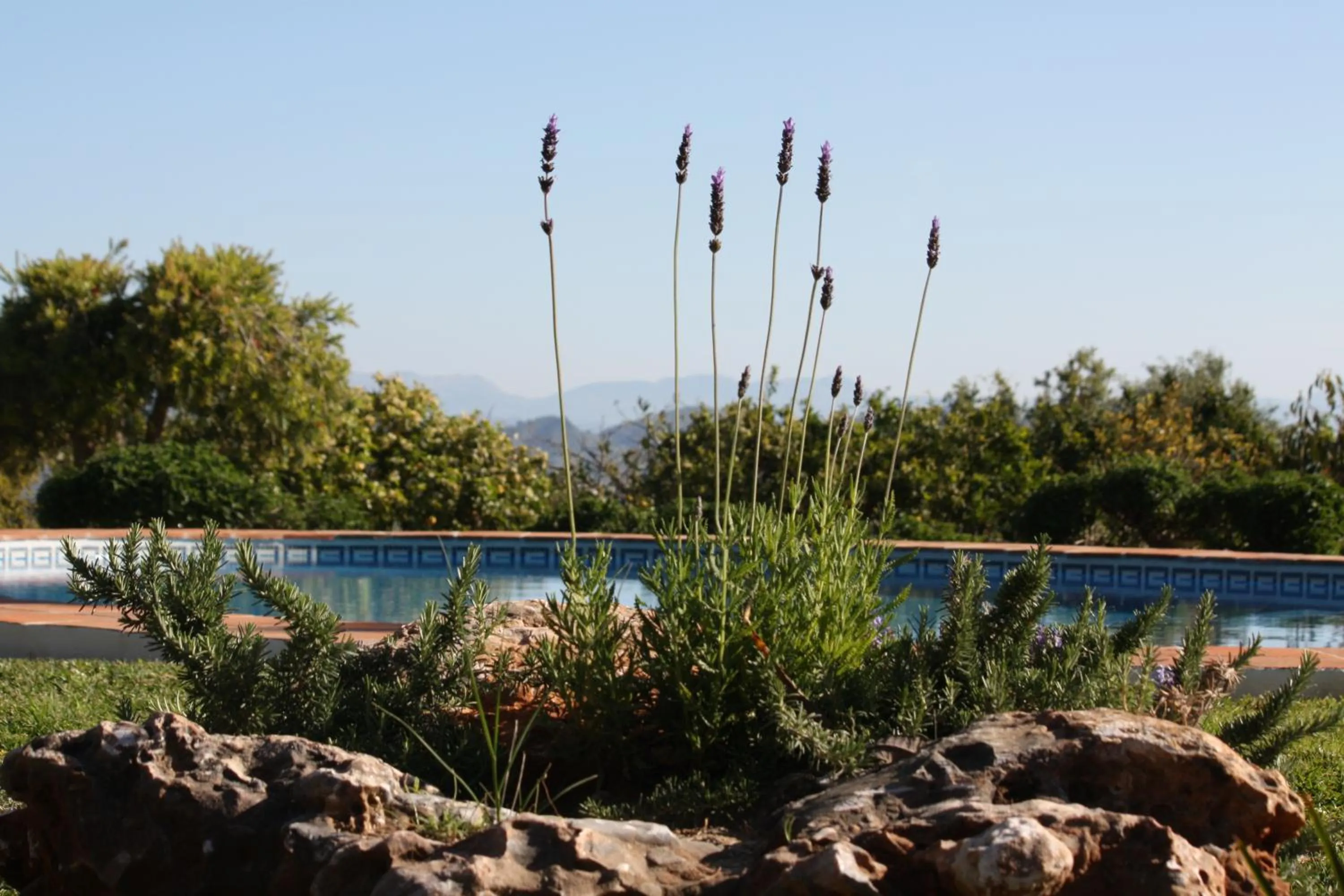 Swimming pool in Roca Verde, Boutique Bed & Breakfast - Adults only